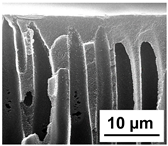 Polymers 16 01349 i017