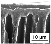 Polymers 16 01349 i018