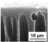 Polymers 16 01349 i020