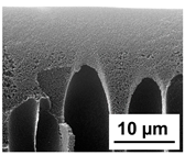 Polymers 16 01349 i022