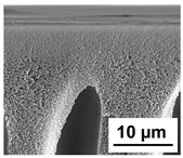 Polymers 16 01349 i023