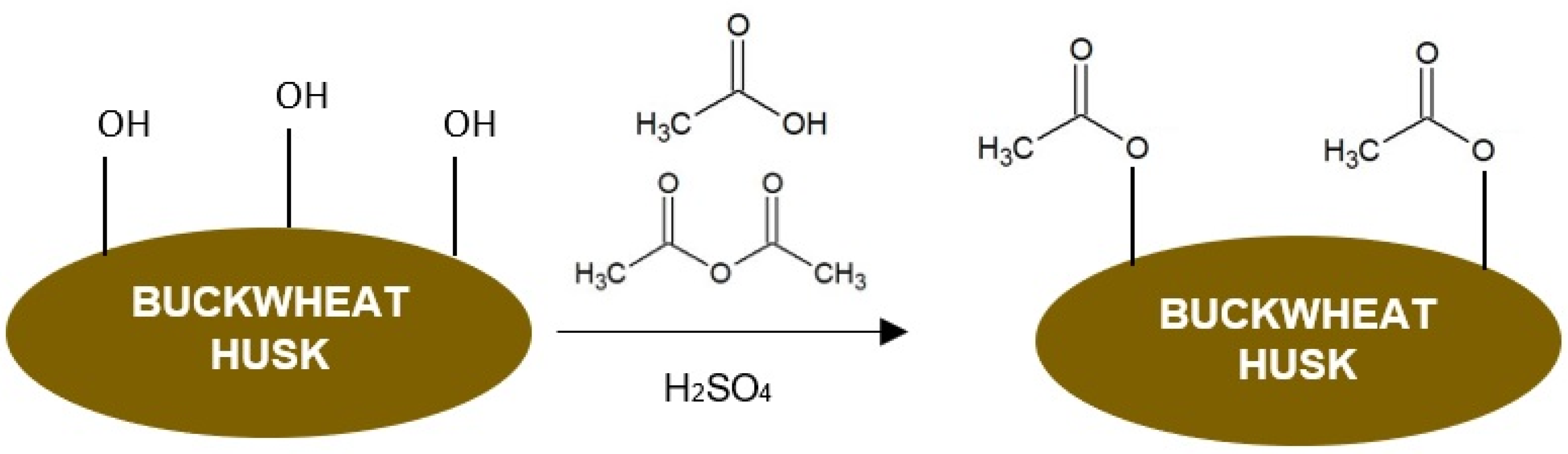 Polymers 16 01350 g002
