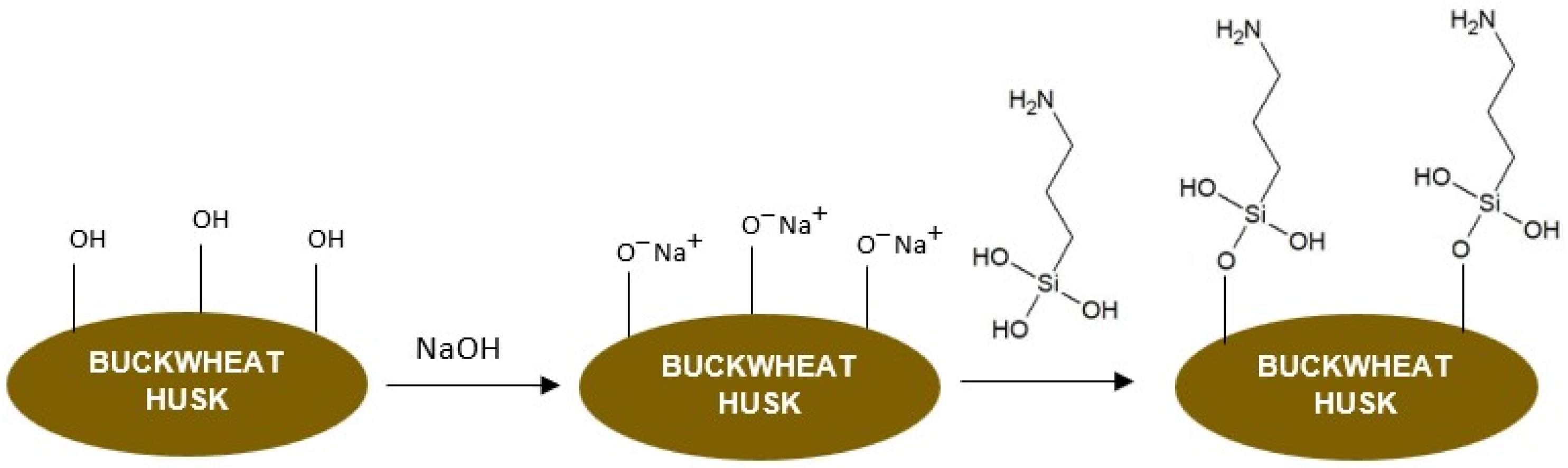Polymers 16 01350 g003