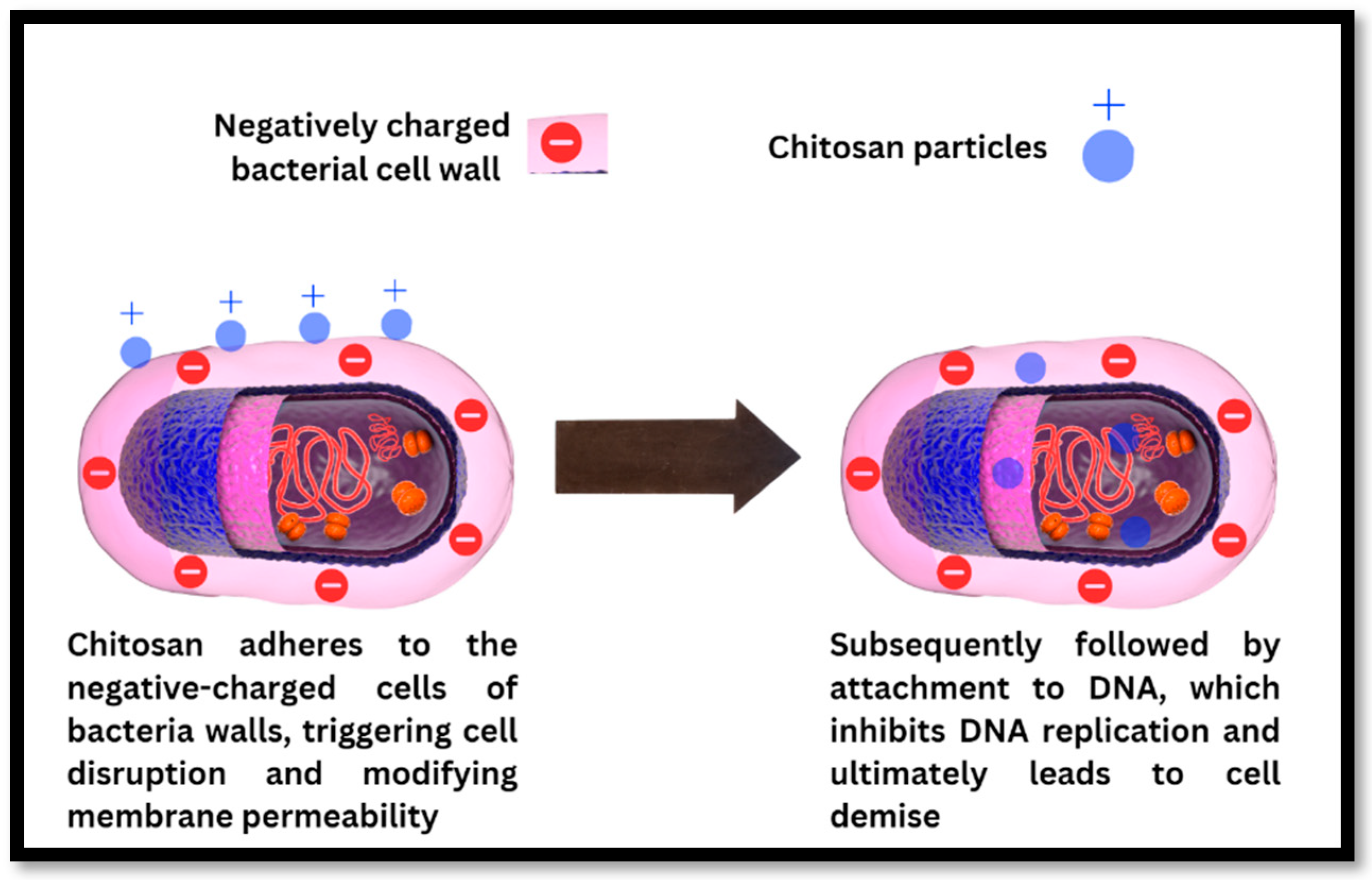 Polymers 16 01351 g003