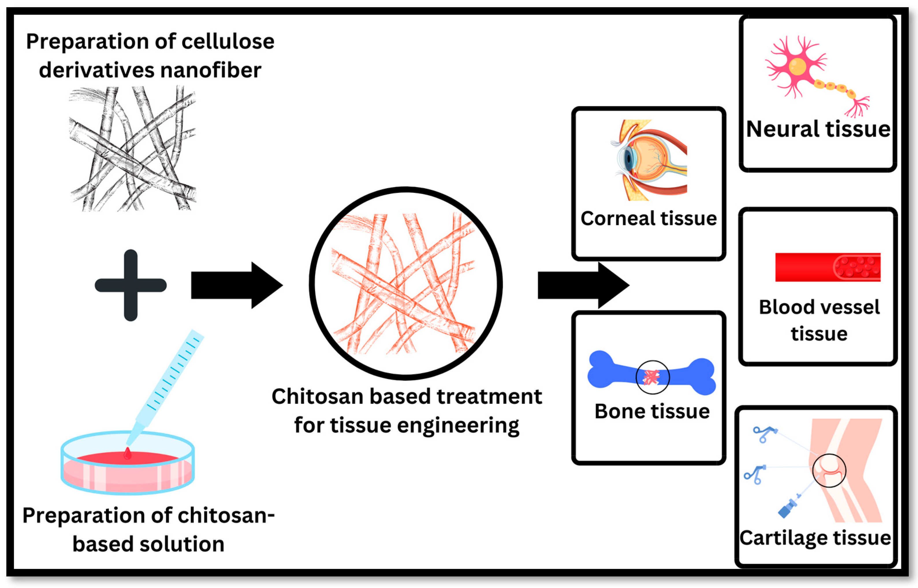 Polymers 16 01351 g005