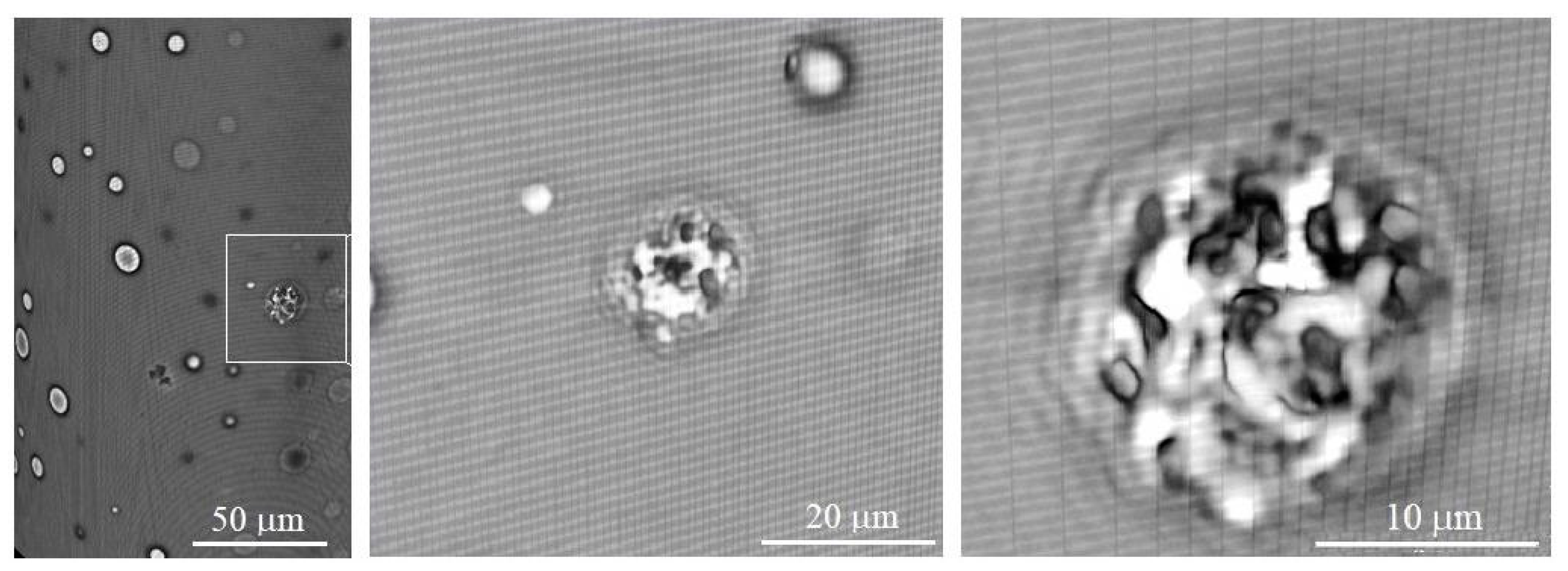Polymers 16 01354 g003 Polymers 16 01354 g003