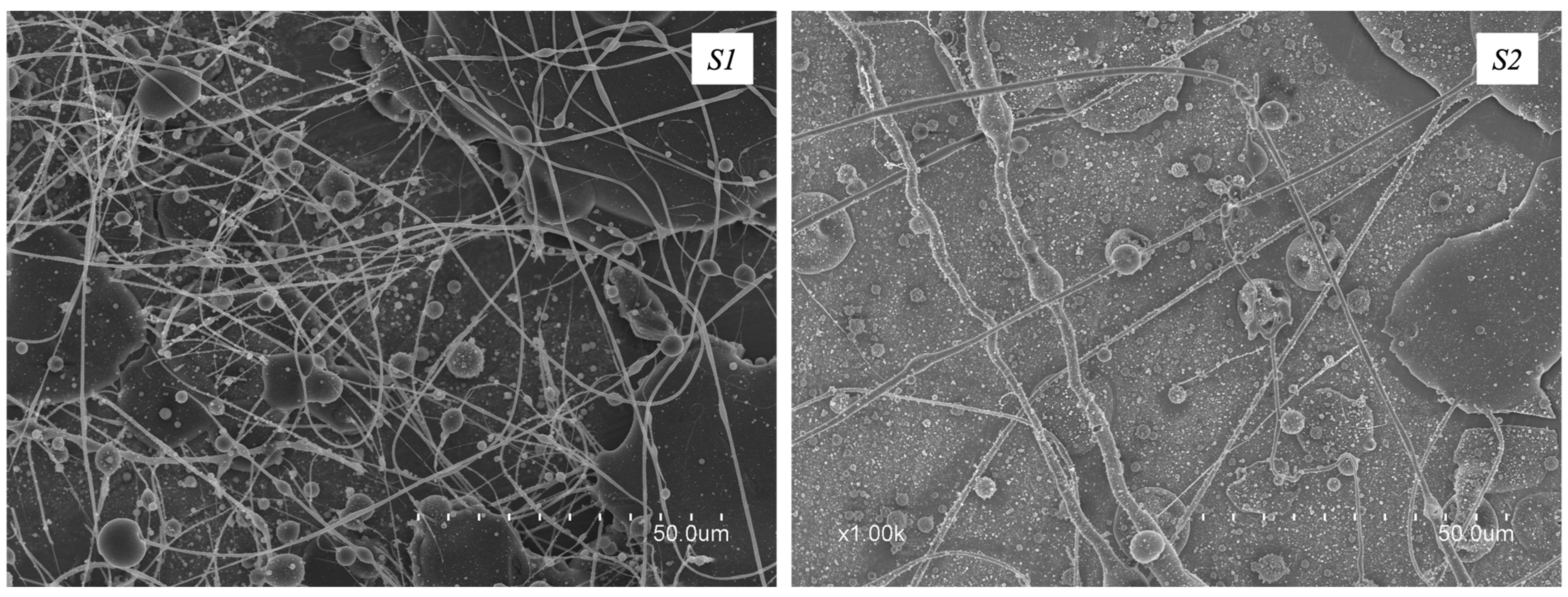 Polymers 16 01355 g001 Polymers 16 01355 g001