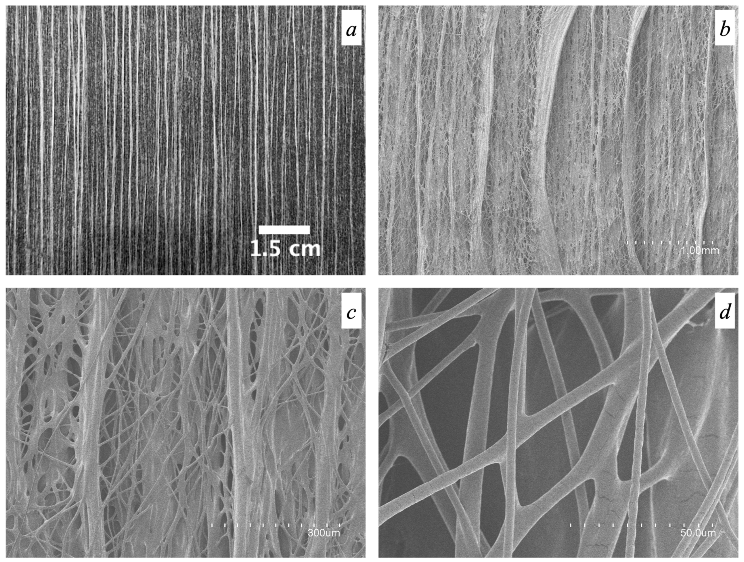 Polymers 16 01355 g007 Polymers 16 01355 g007