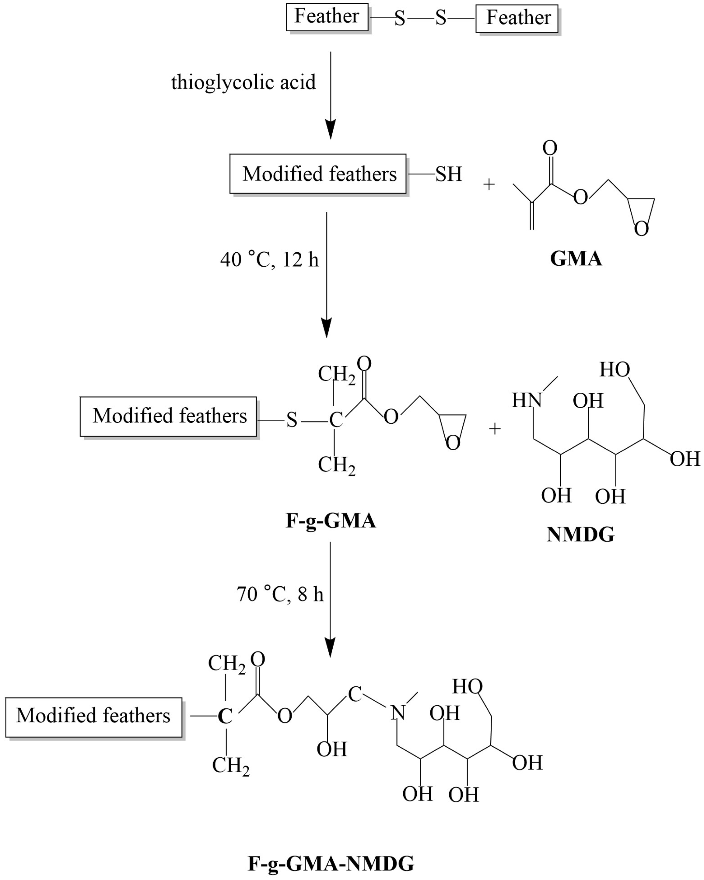 Polymers 16 01365 g001 Polymers 16 01365 g001