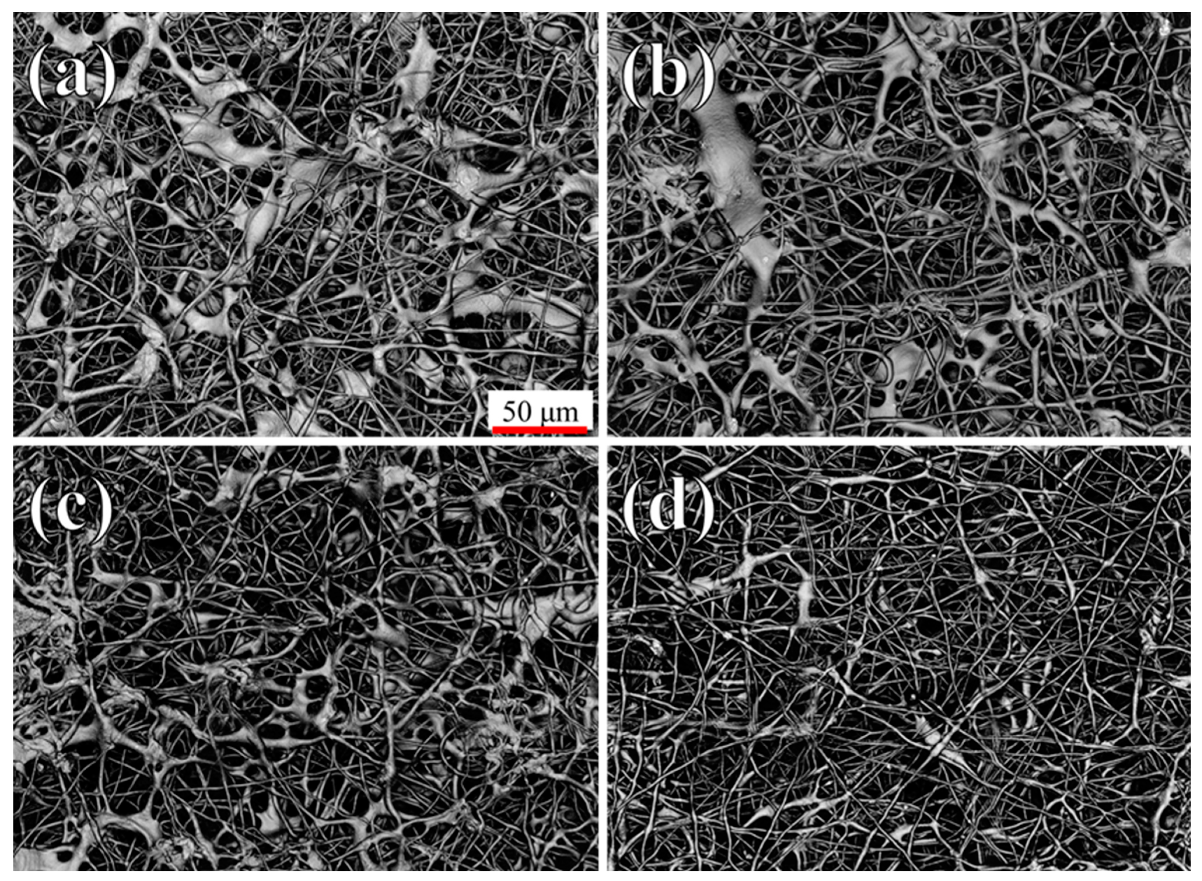 Polymers 16 01371 g001