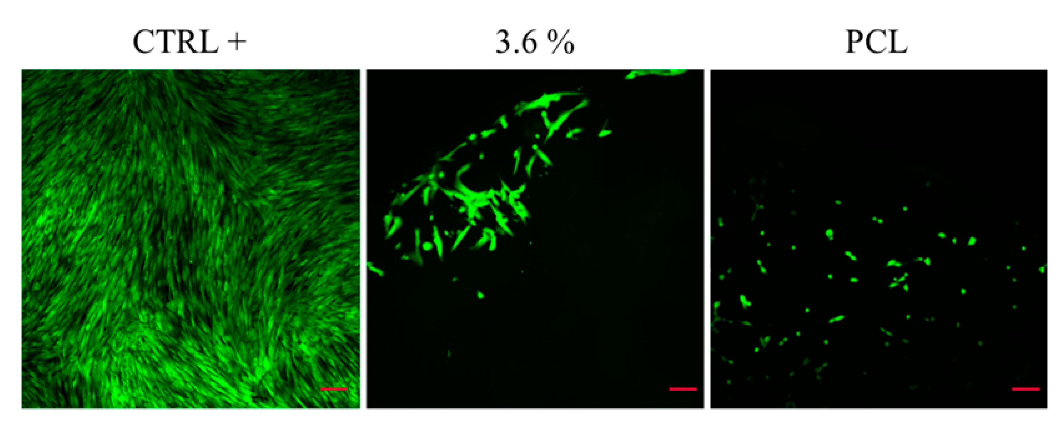 Polymers 16 01371 g009