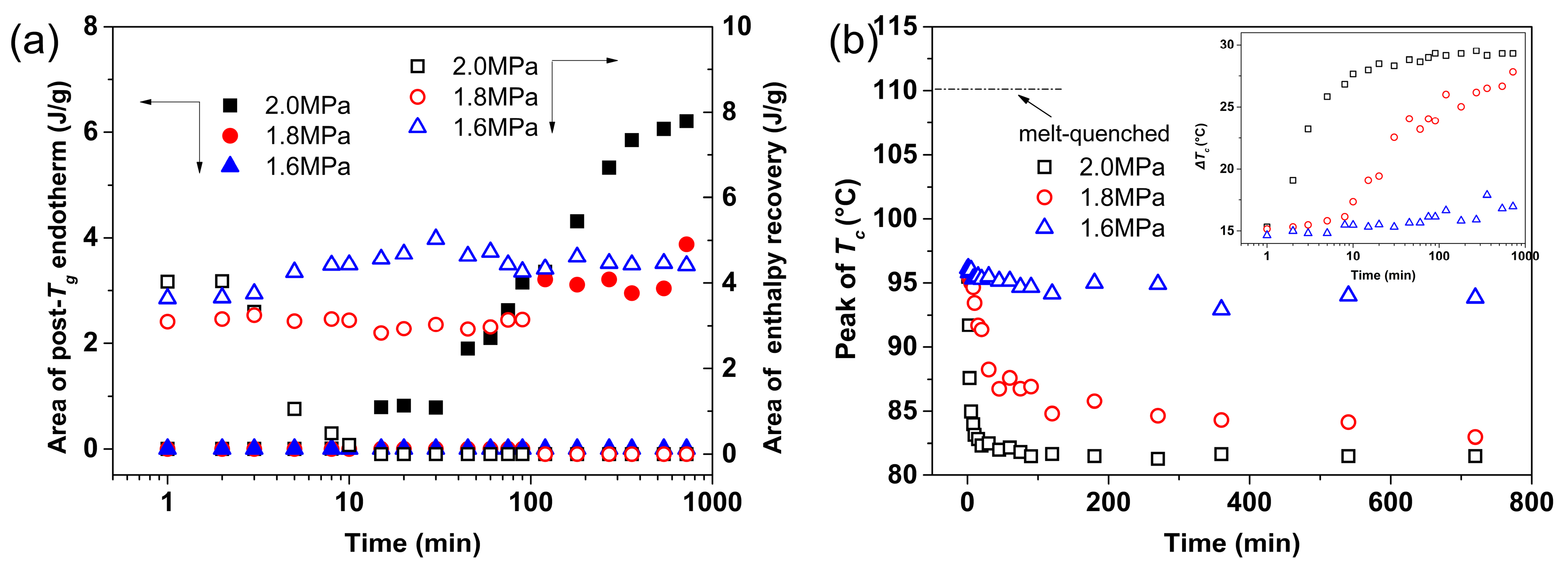 Polymers 16 01378 g008