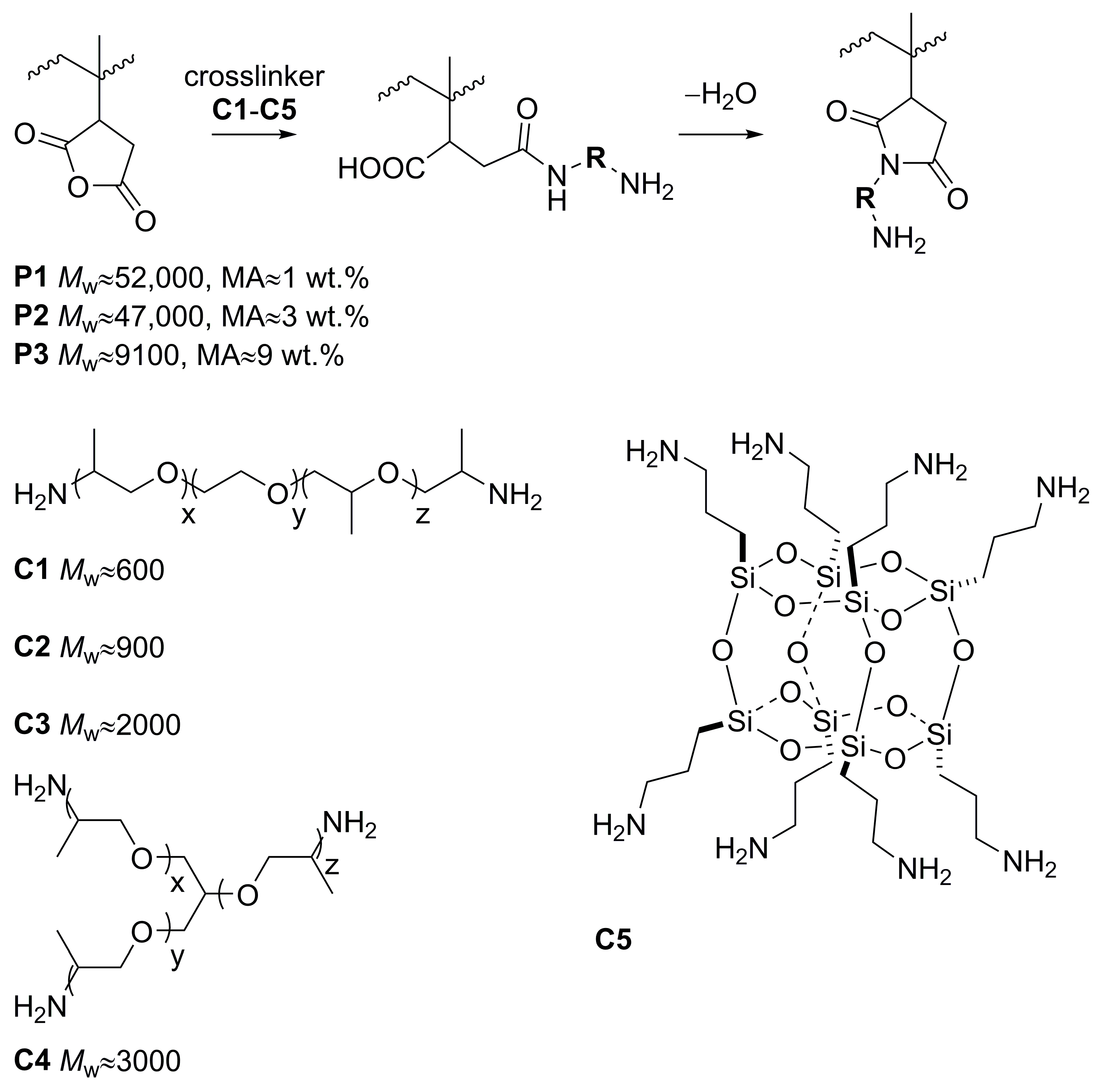 Polymers 16 01382 g002