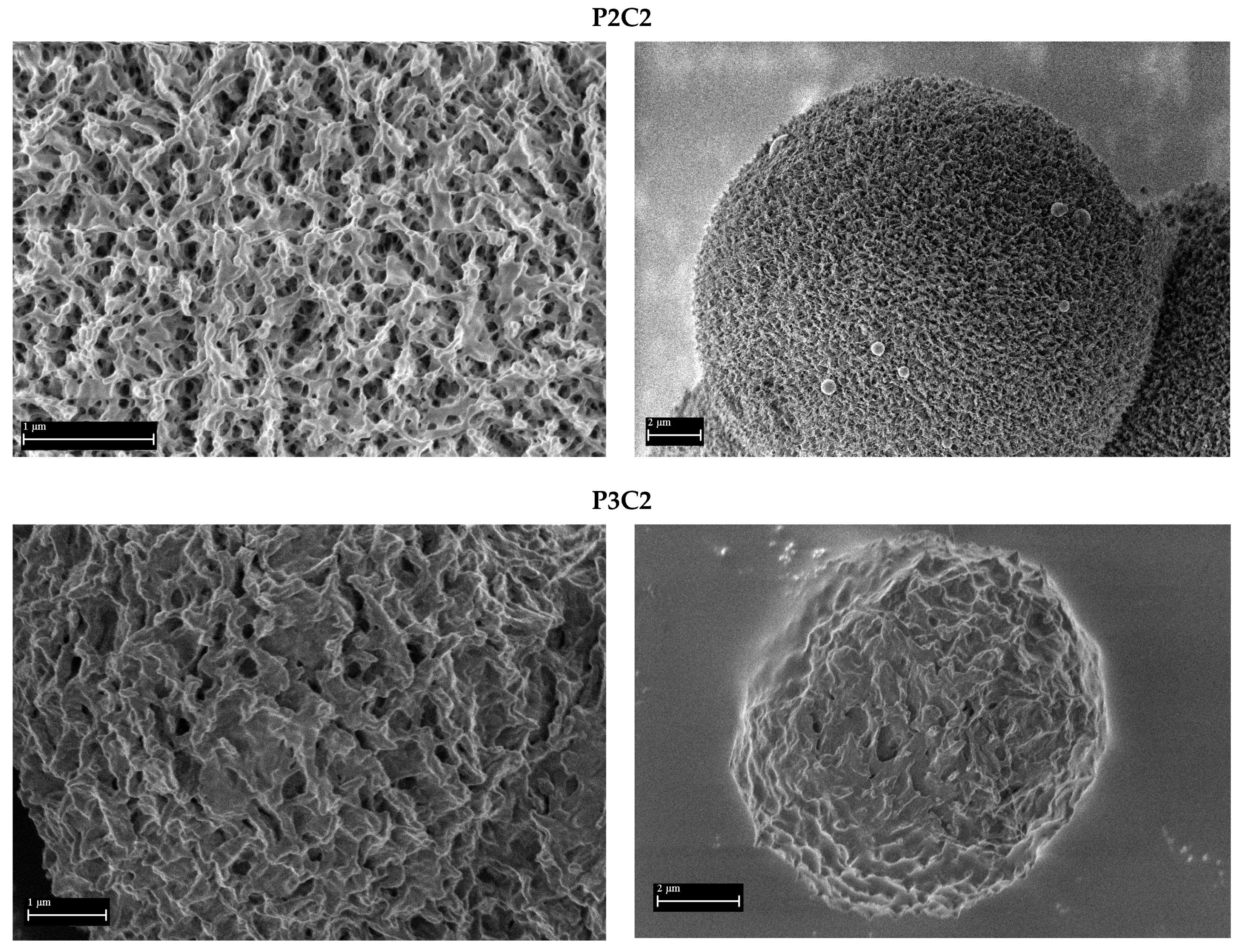 Polymers 16 01382 g004b