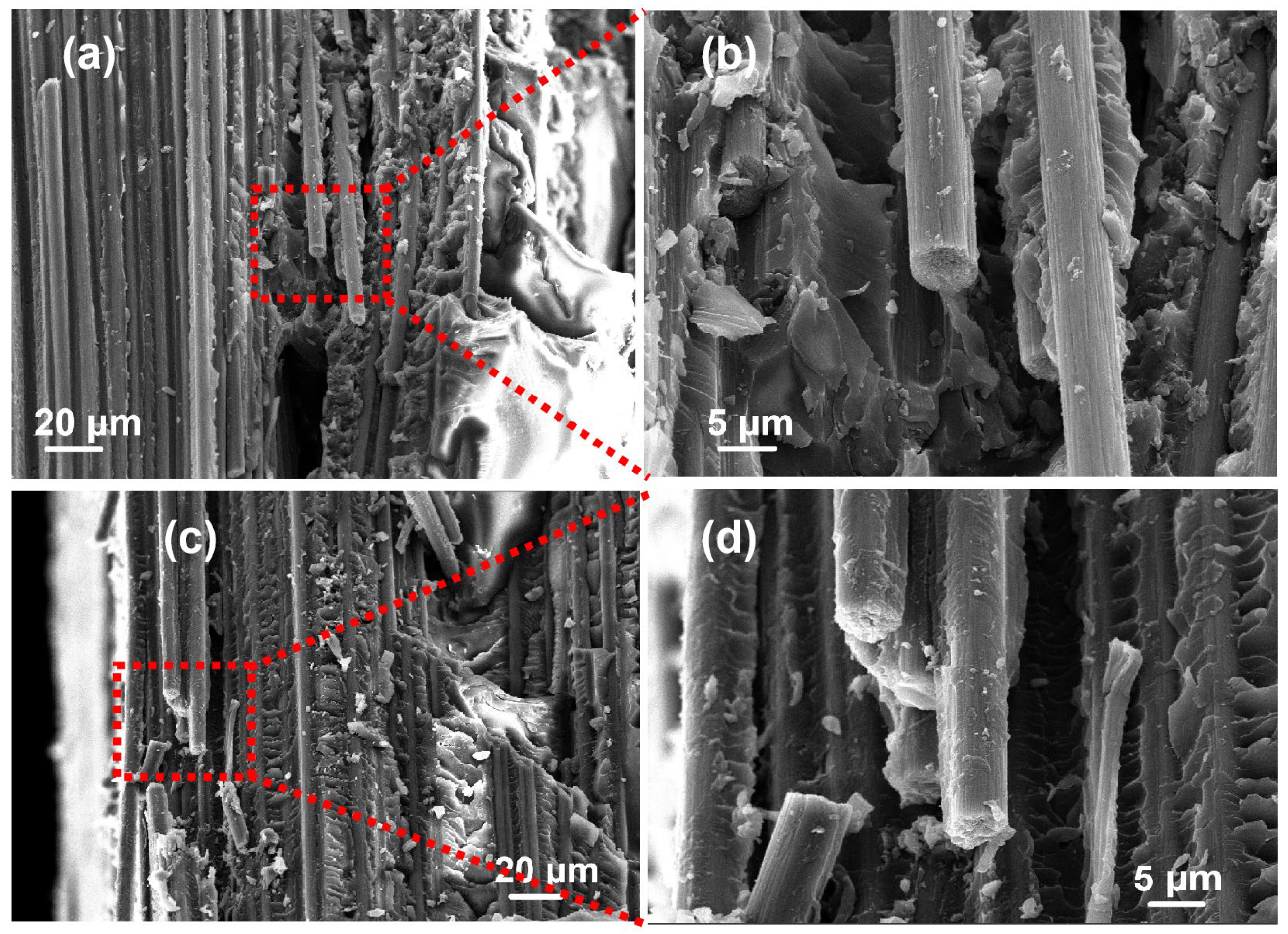 Polymers 16 01383 g006