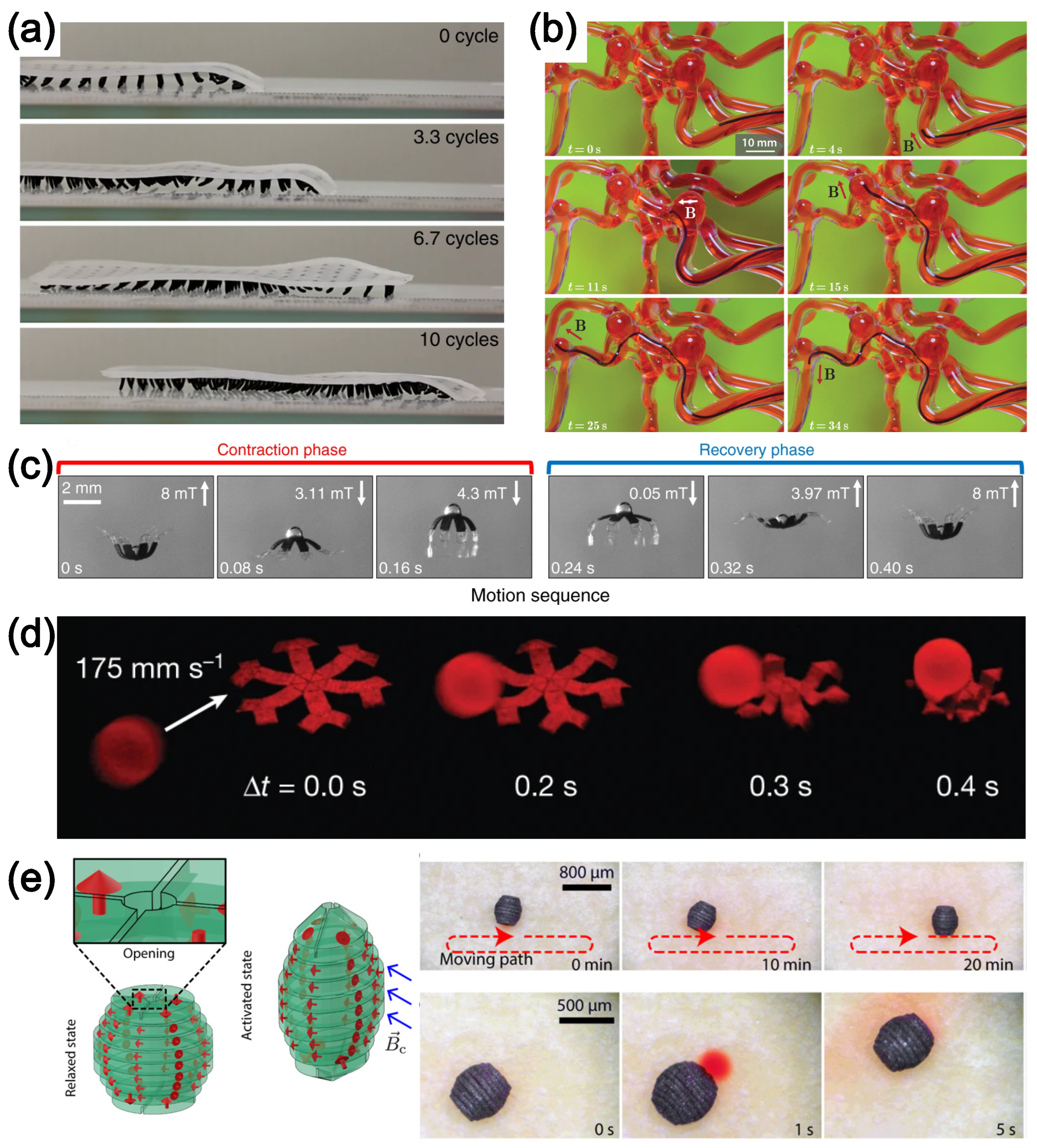 Polymers 16 01387 g010a
