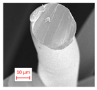 Polymers 16 01391 i001