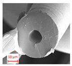 Polymers 16 01391 i003