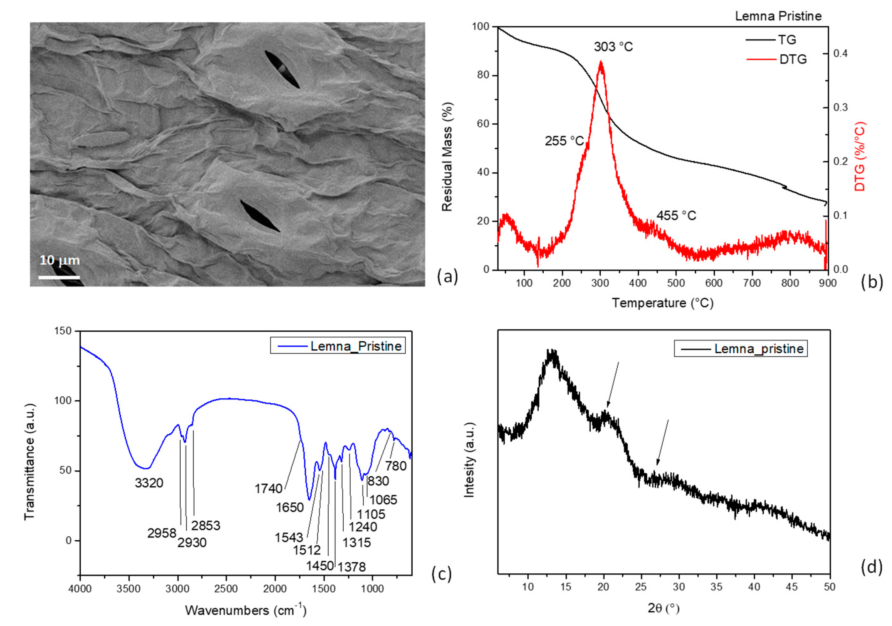 Polymers 16 01395 g001