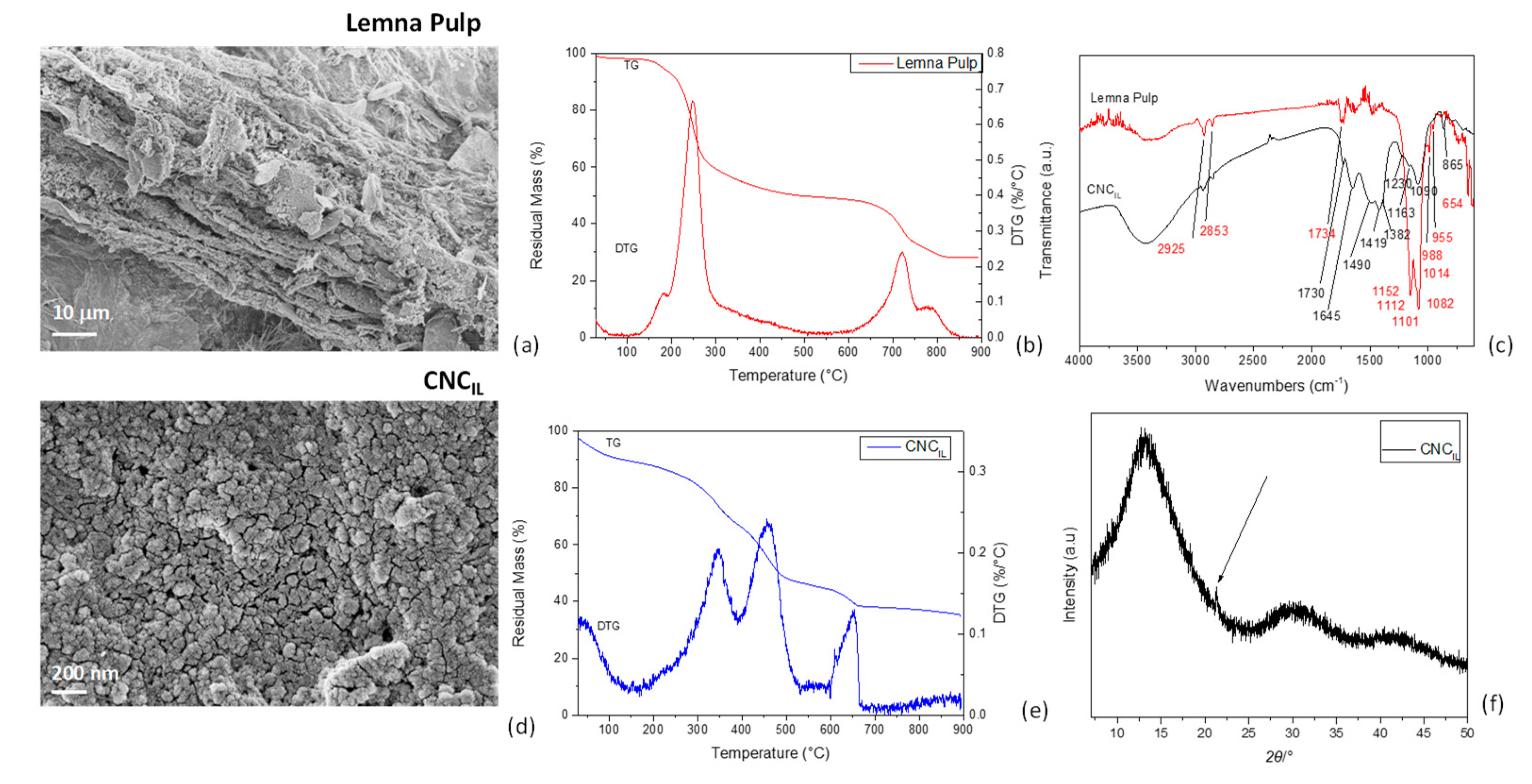Polymers 16 01395 g003
