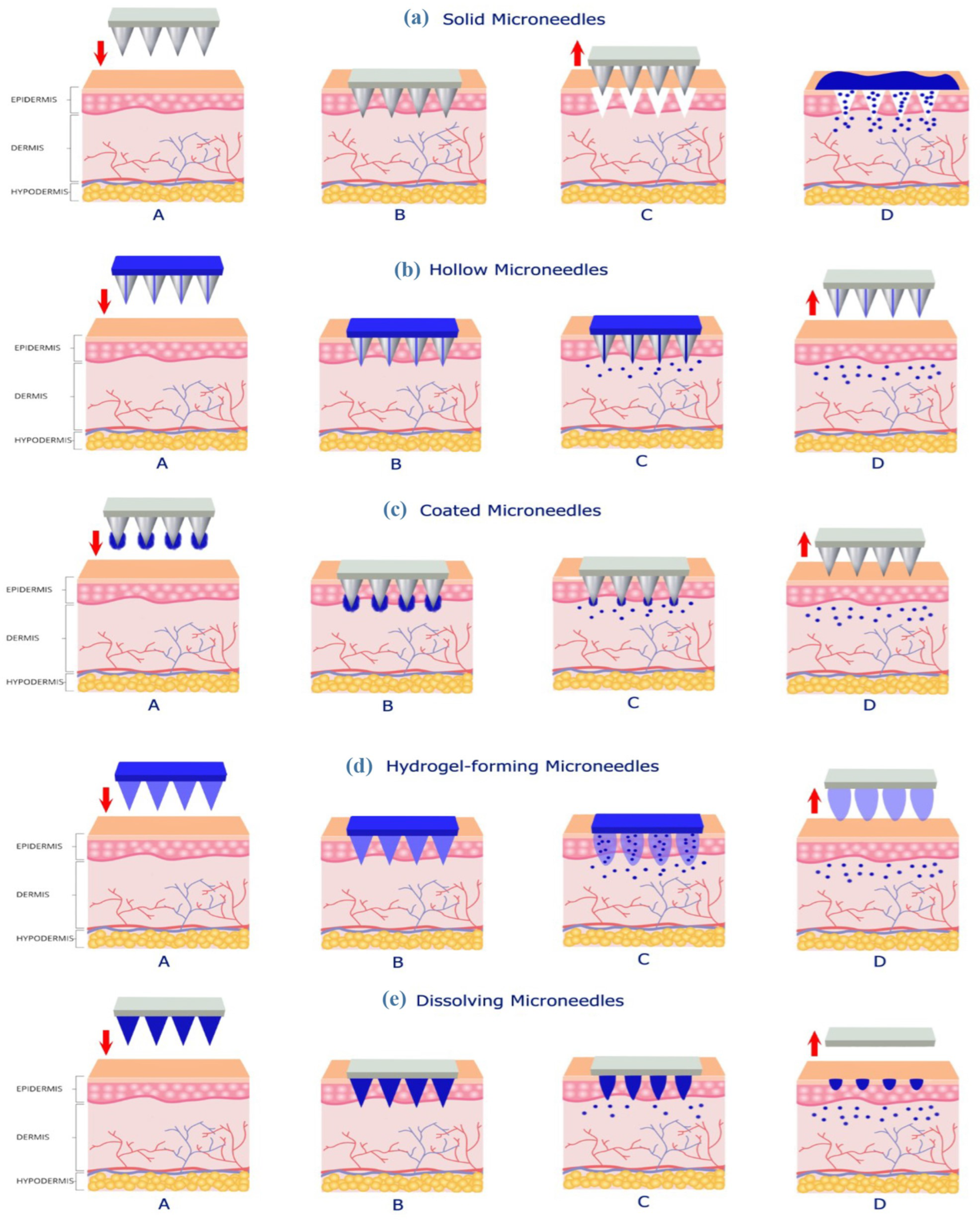 Polymers 16 01396 g001