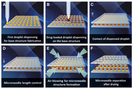Polymers 16 01396 g004