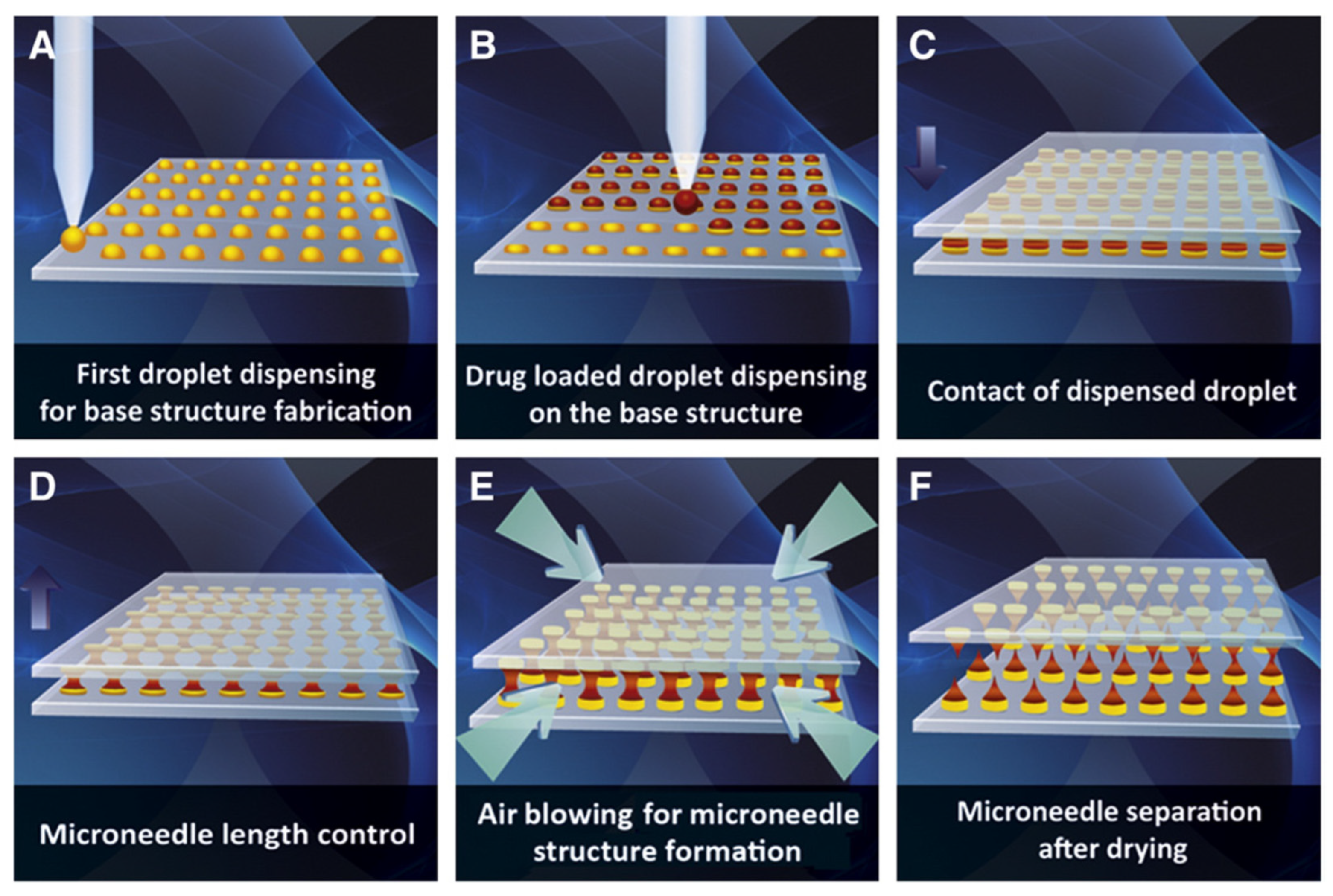 Polymers 16 01396 g004