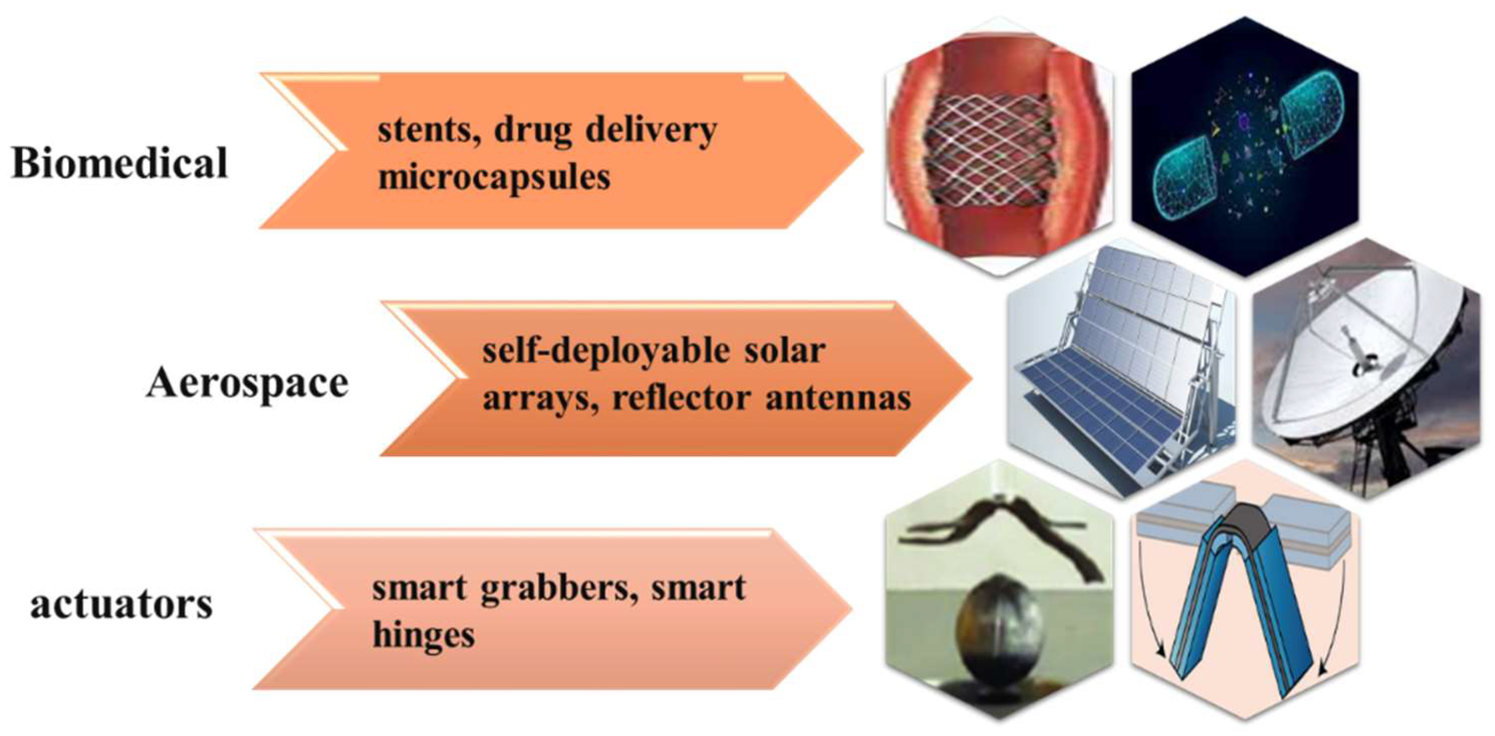 Polymers 16 01398 g001