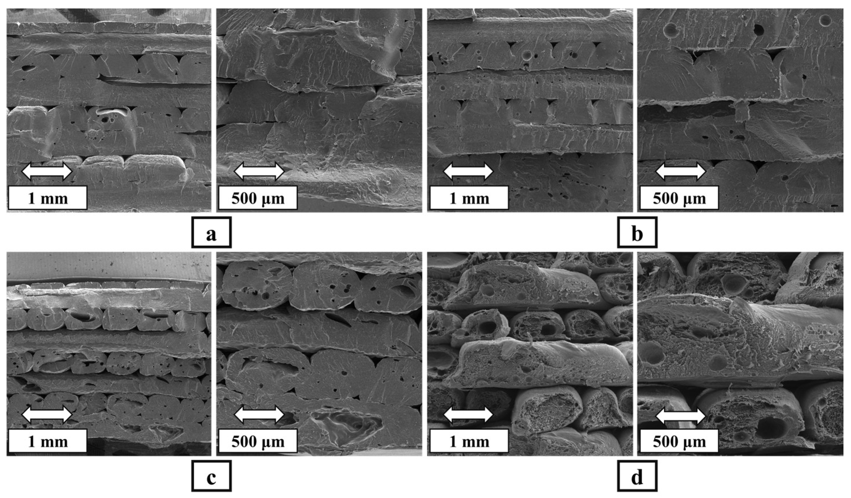 Polymers 16 01398 g006
