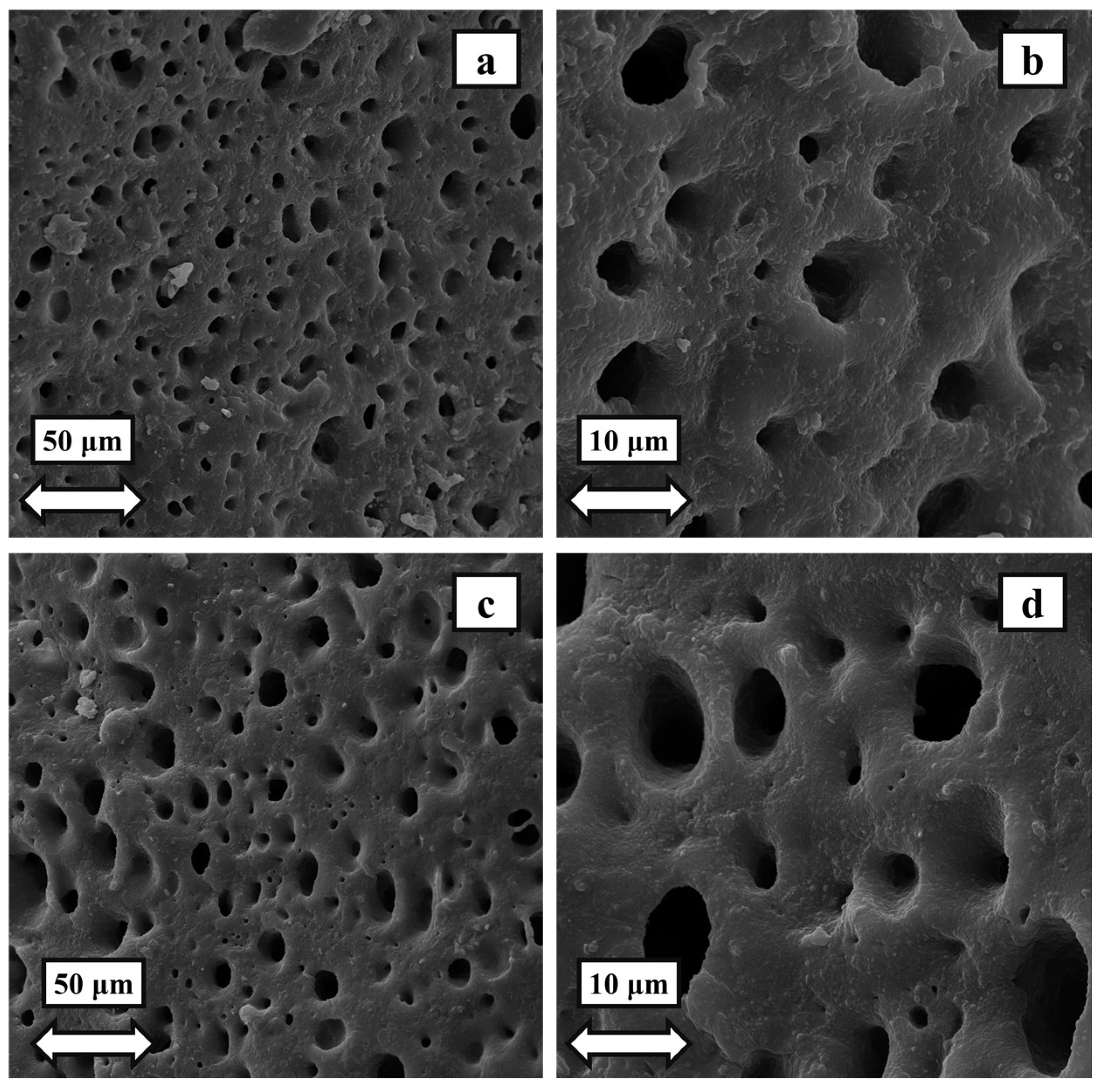 Polymers 16 01398 g007