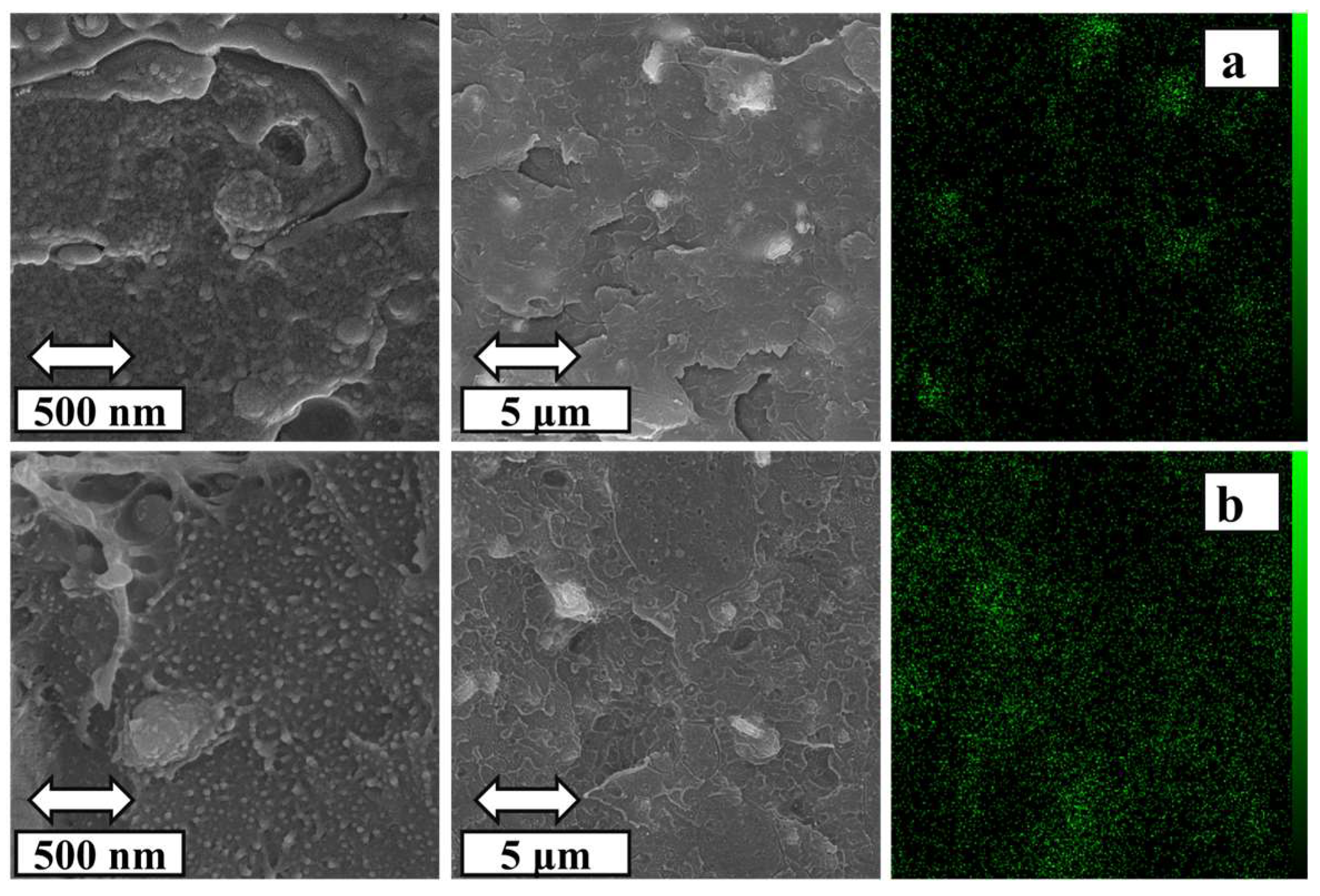 Polymers 16 01398 g008