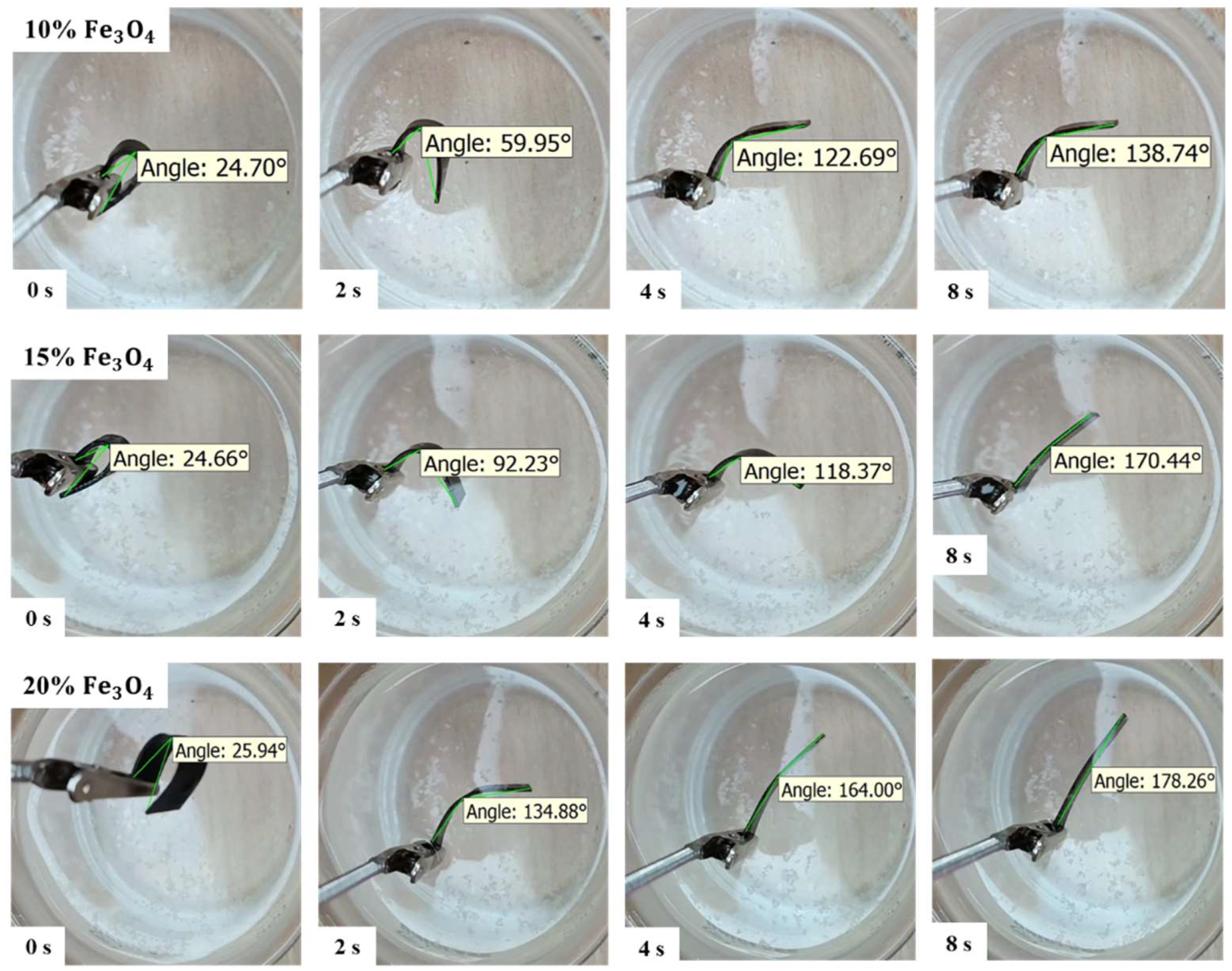 Polymers 16 01398 g010