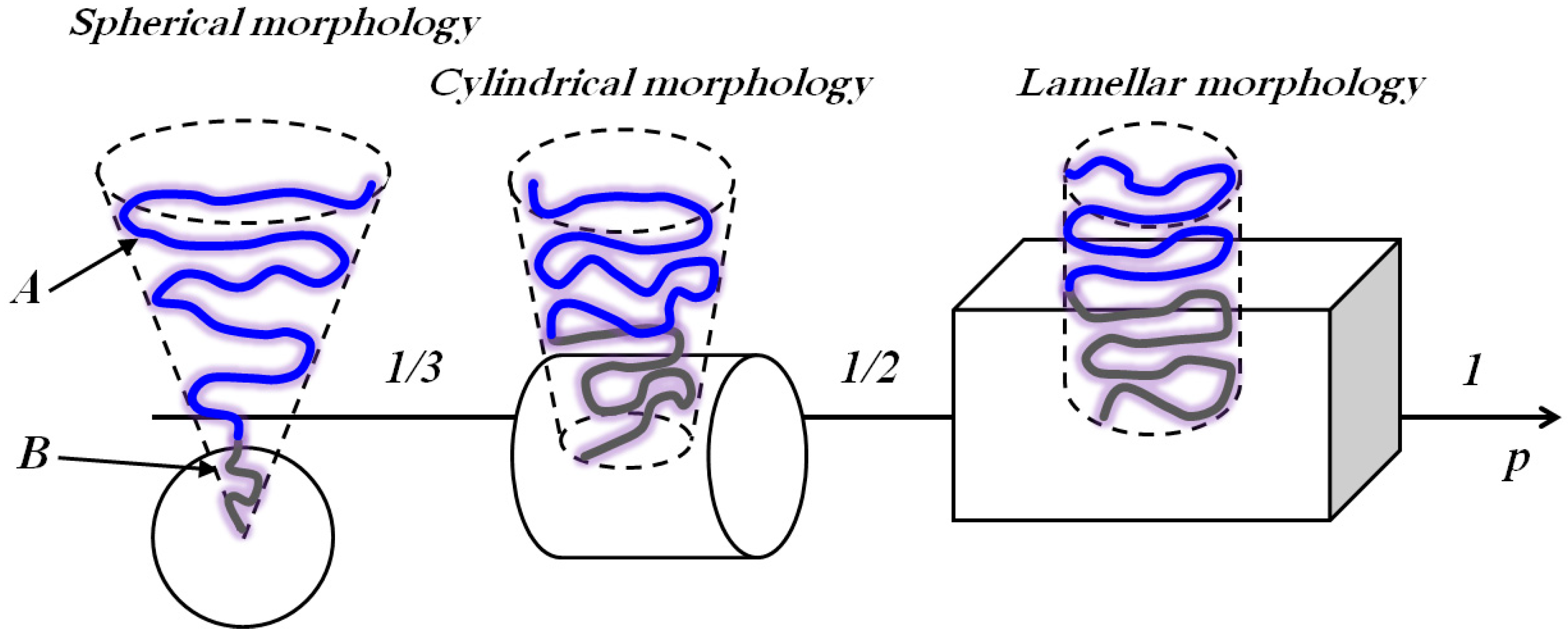 Polymers 16 01408 g001