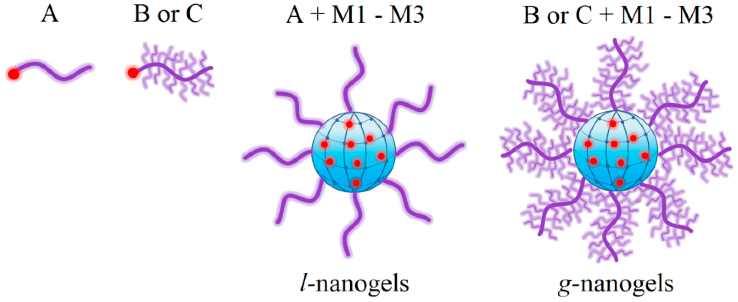 Polymers 16 01408 g008