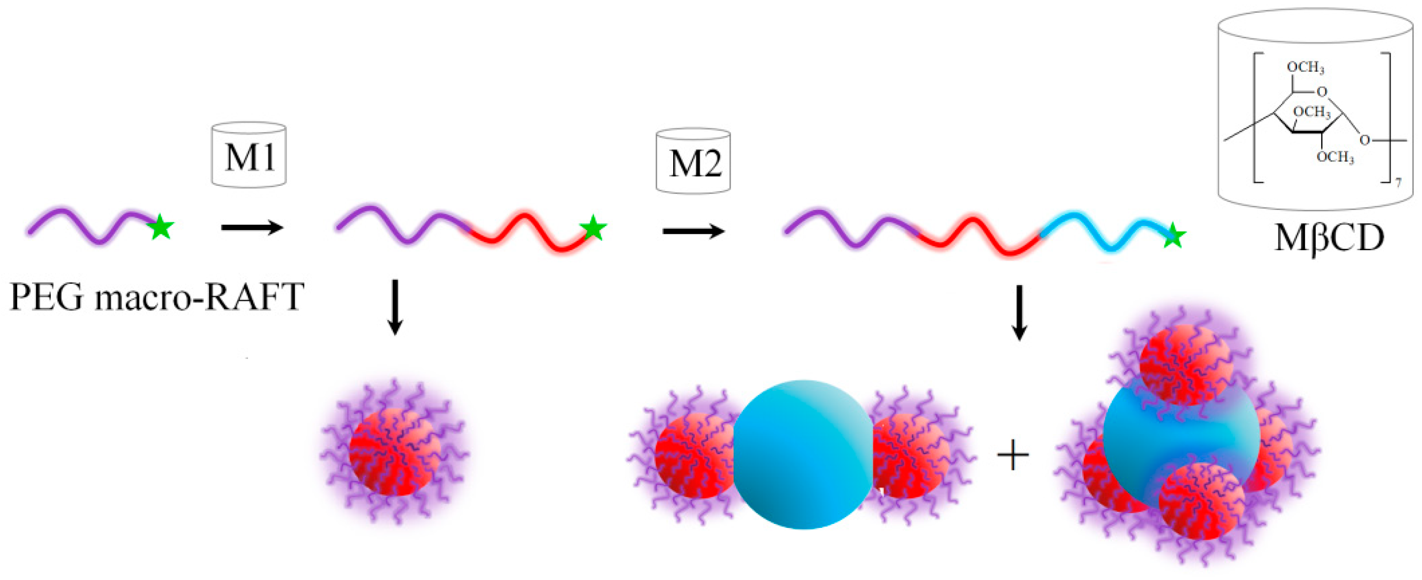 Polymers 16 01408 g012