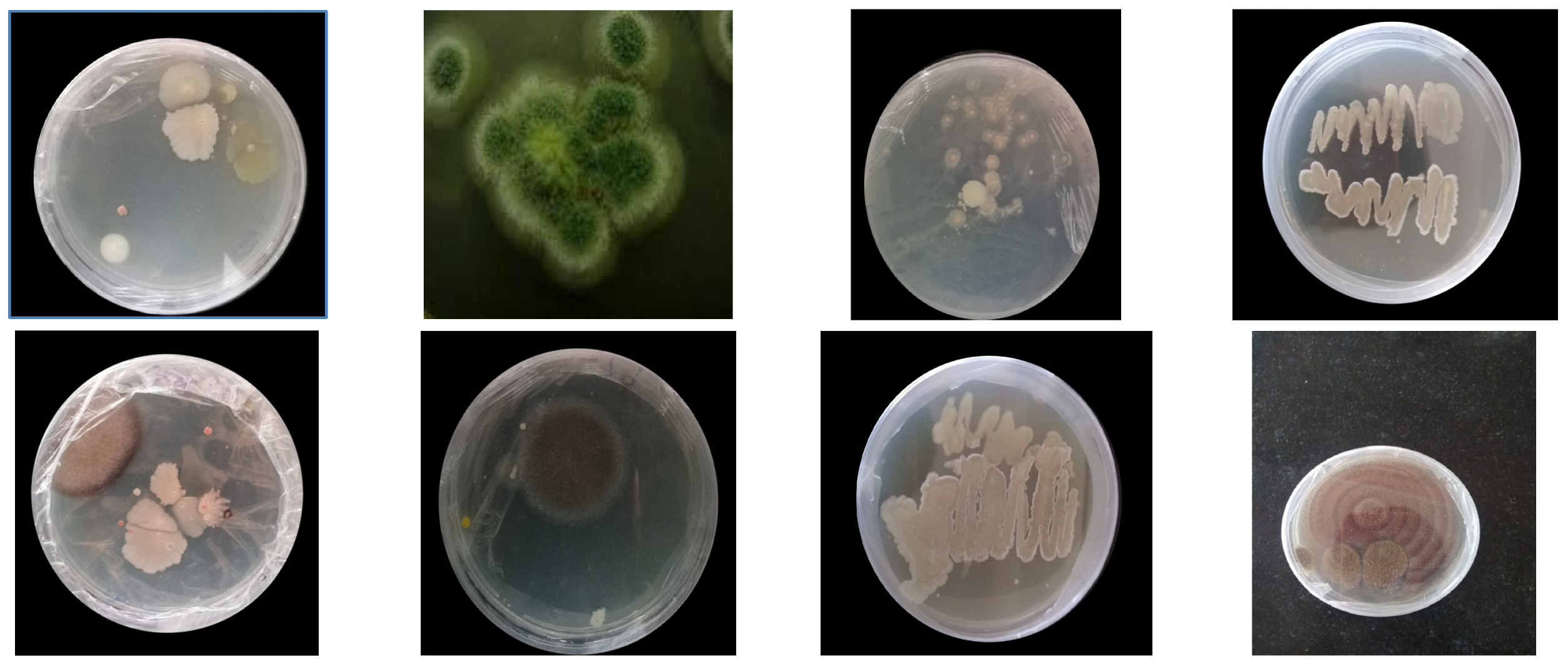Polymers 16 01411 g002