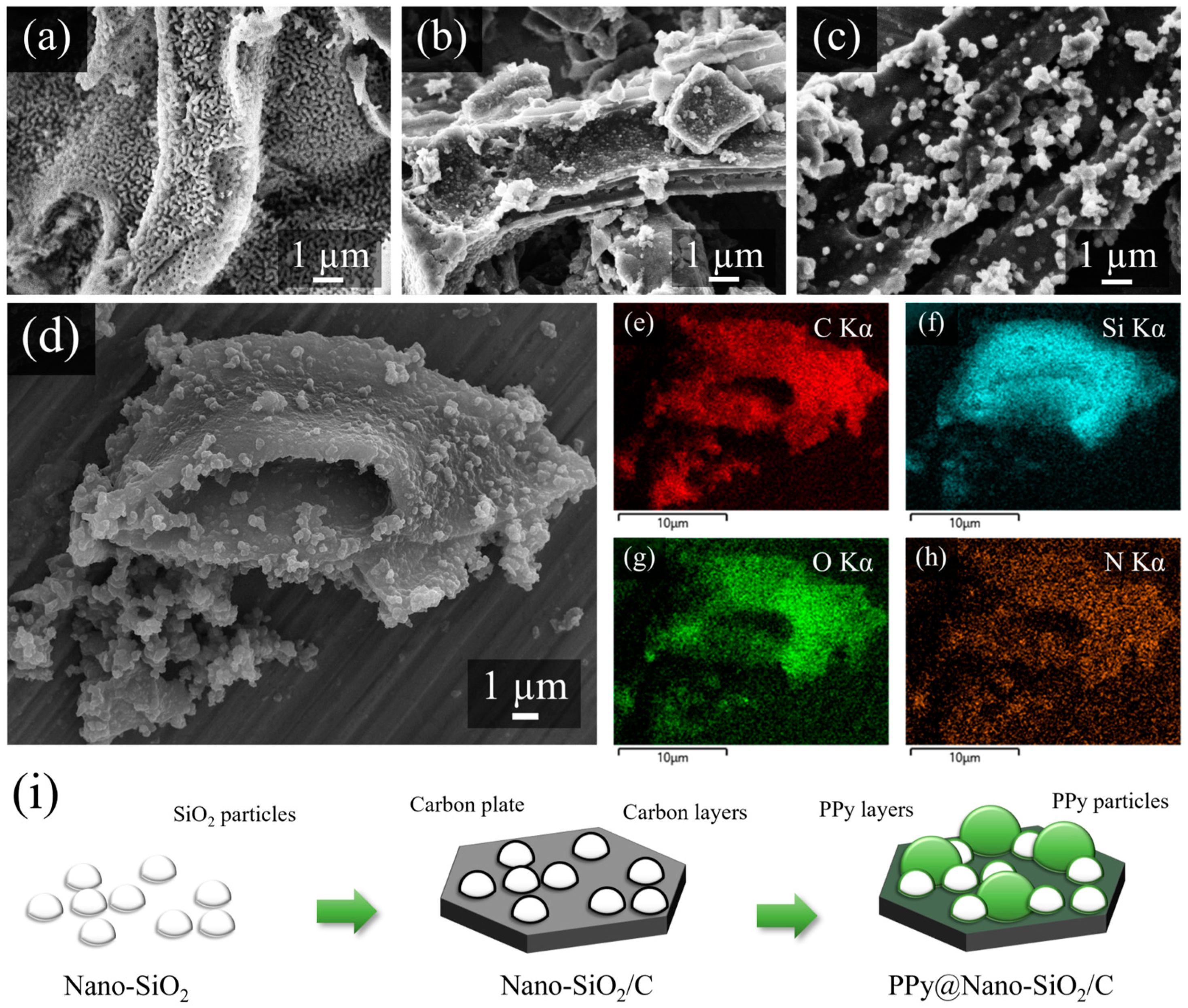 Polymers 16 01414 g002