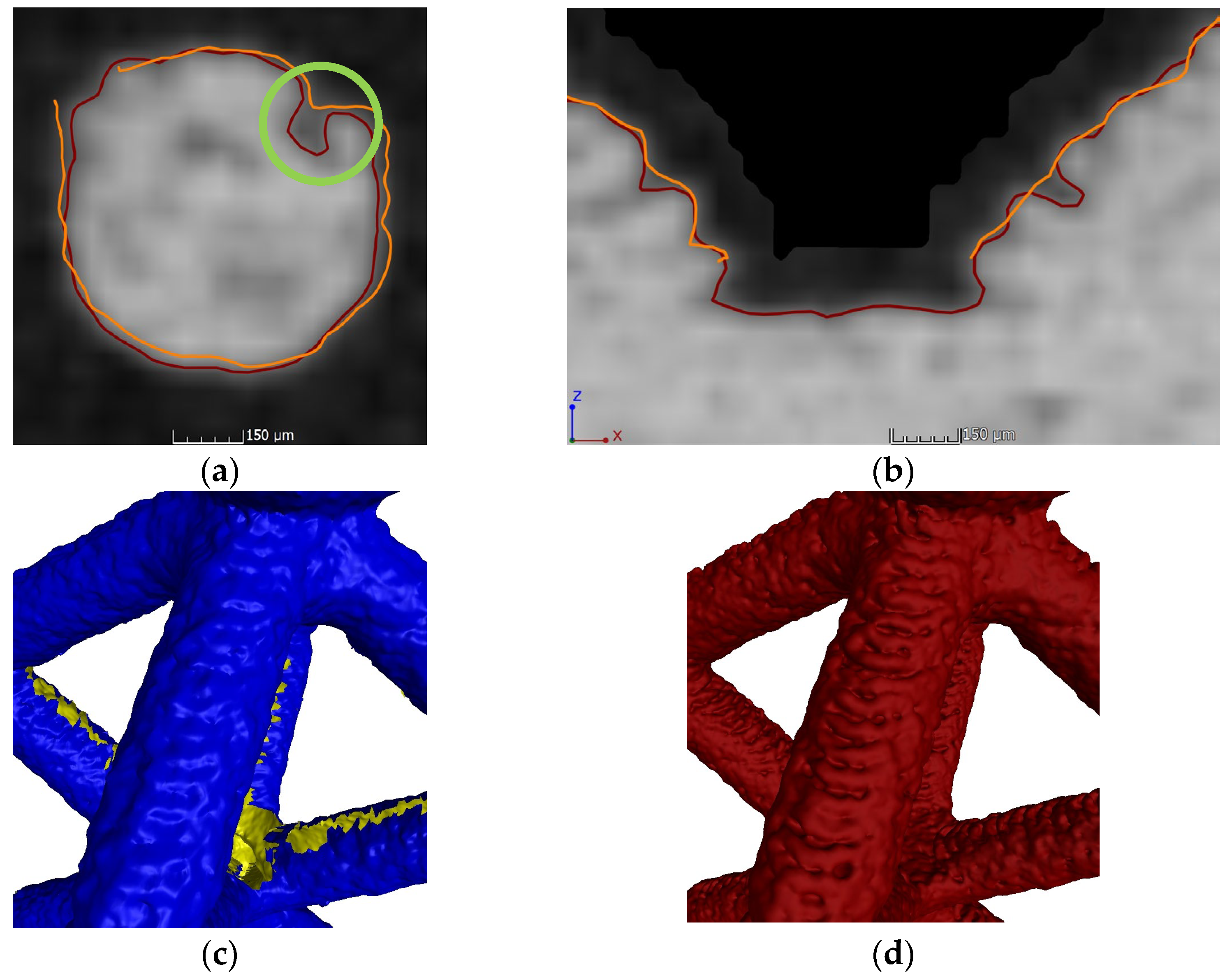 Polymers 16 01419 g005