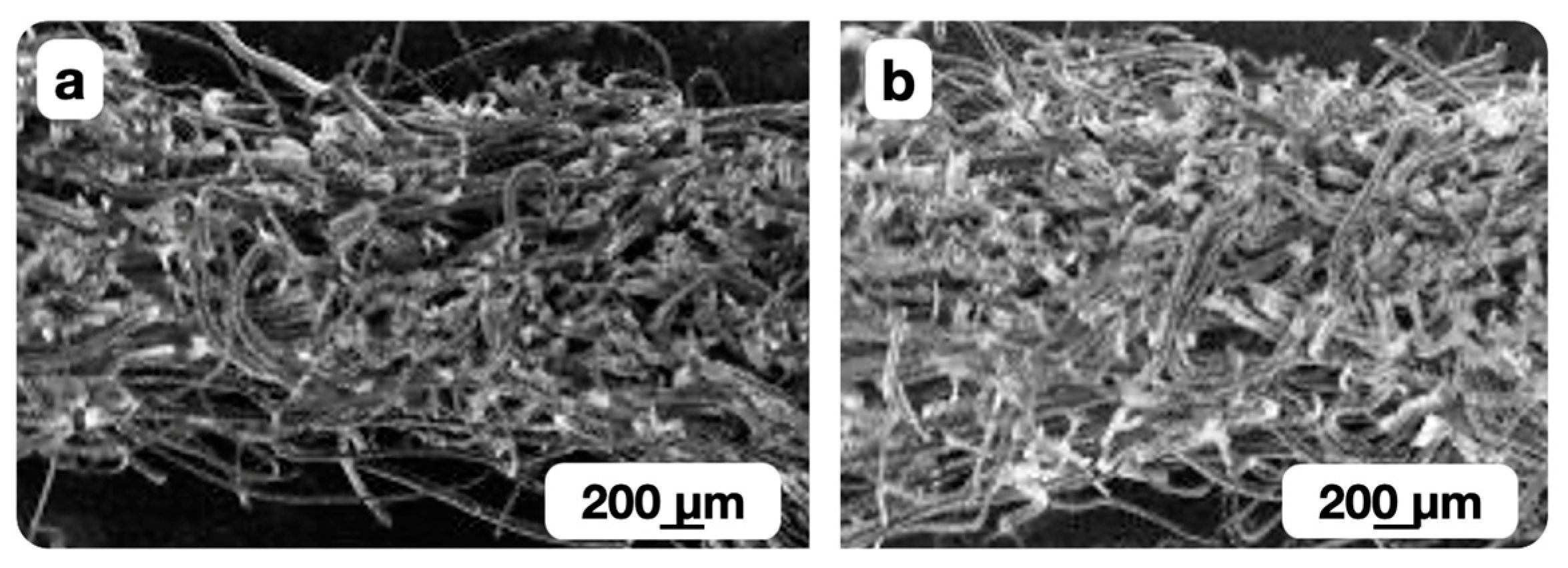 Polymers 16 01424 g008 Polymers 16 01424 g008