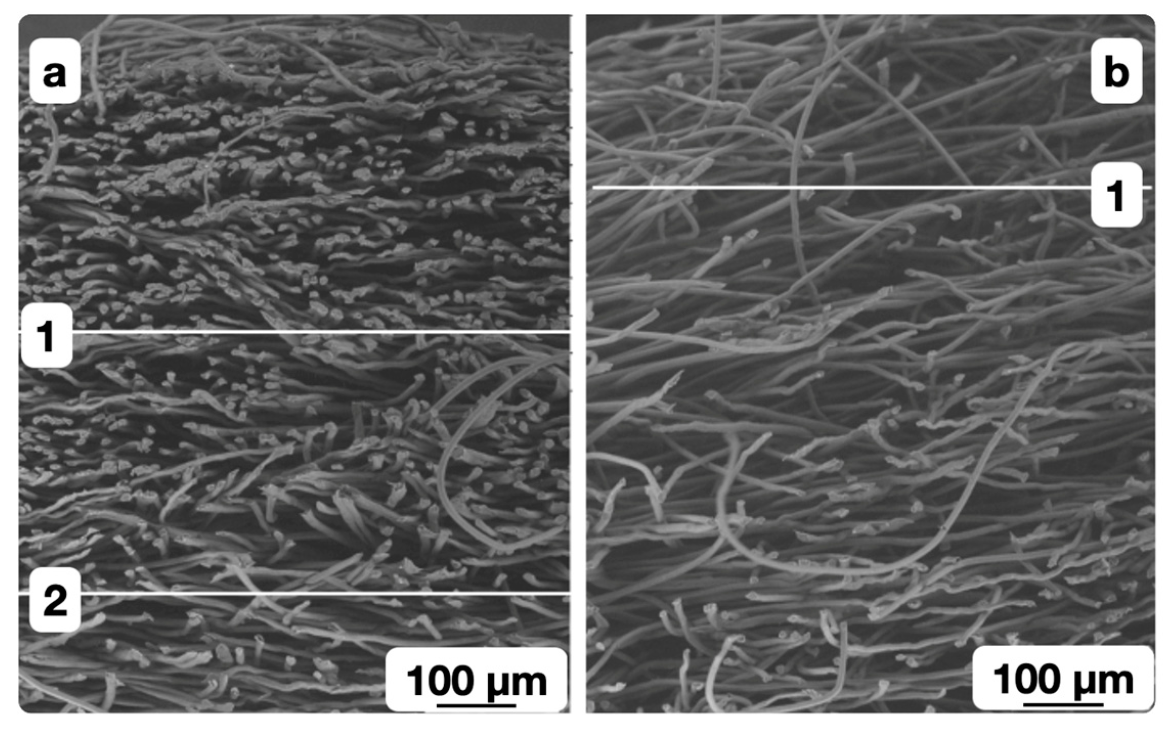 Polymers 16 01424 g009 Polymers 16 01424 g009