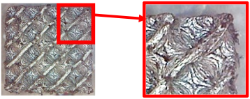 Polymers 16 01429 i002