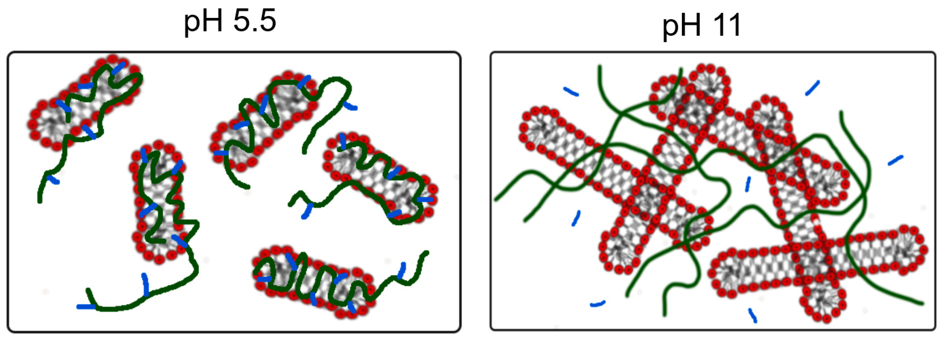 Polymers 16 01430 g009
