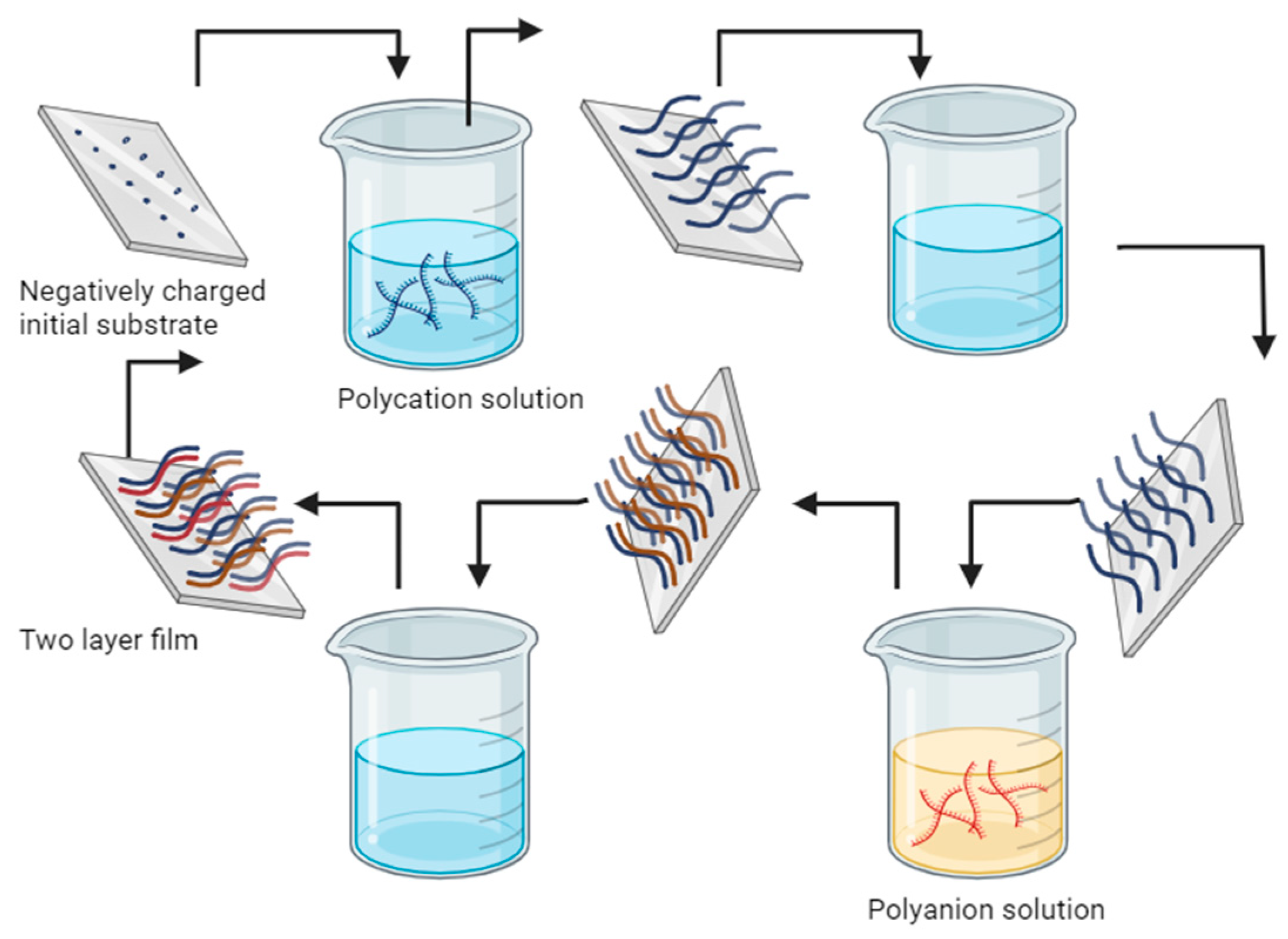 Polymers 16 01434 g010