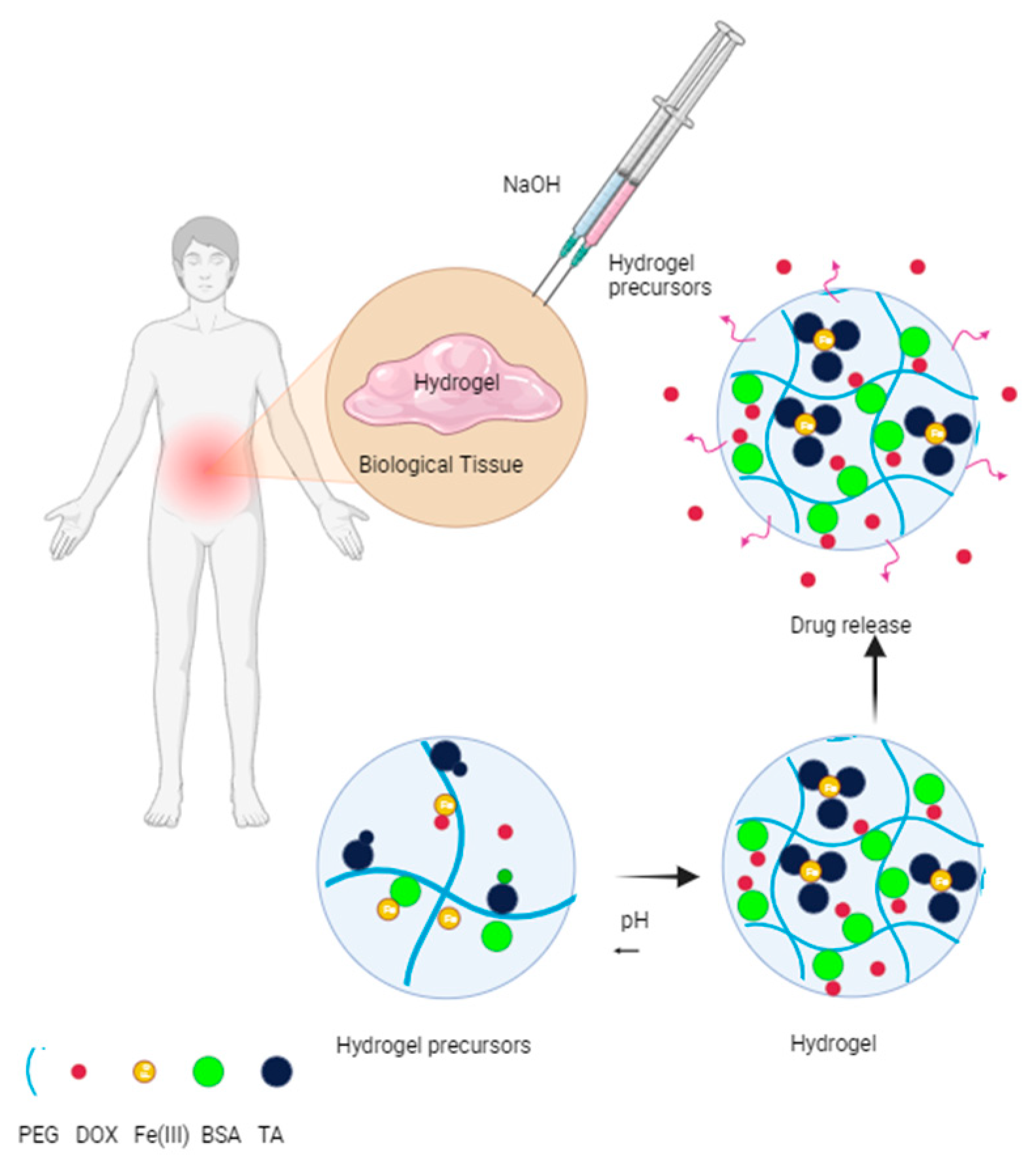 Polymers 16 01434 g011