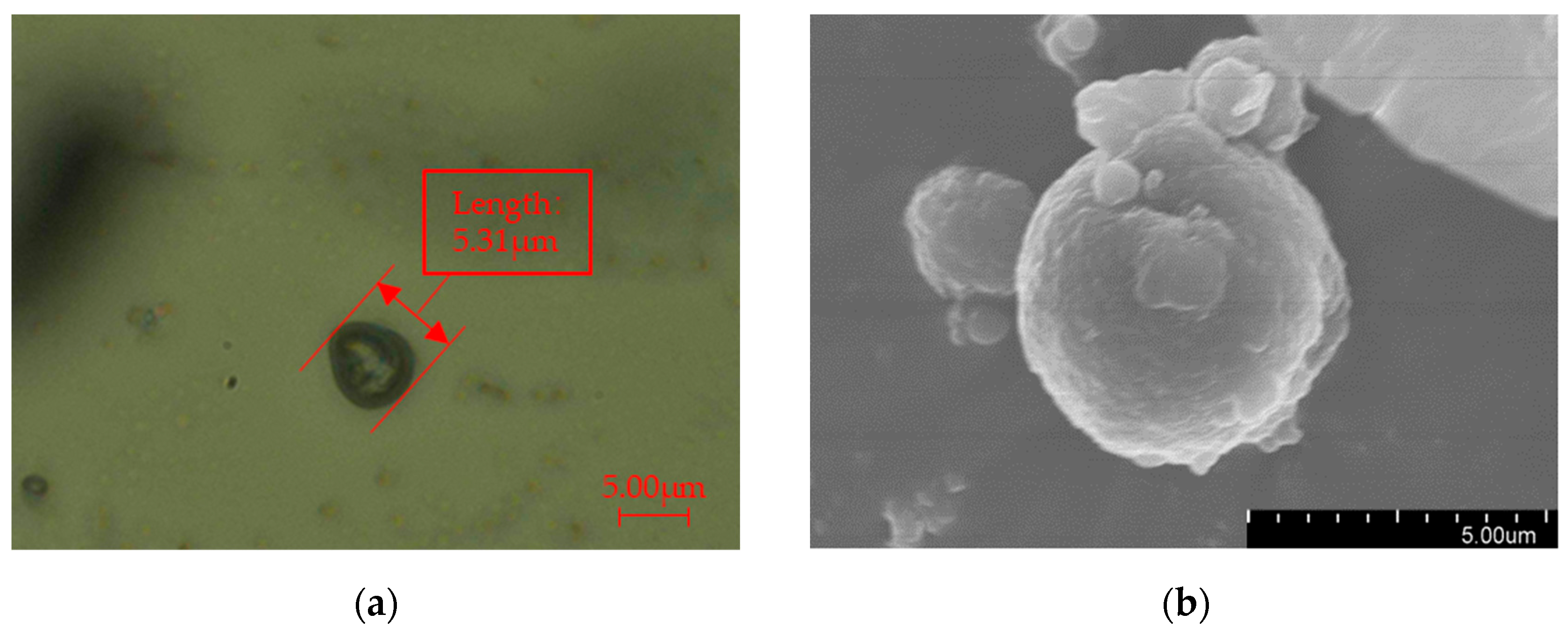 Polymers 16 01445 g003