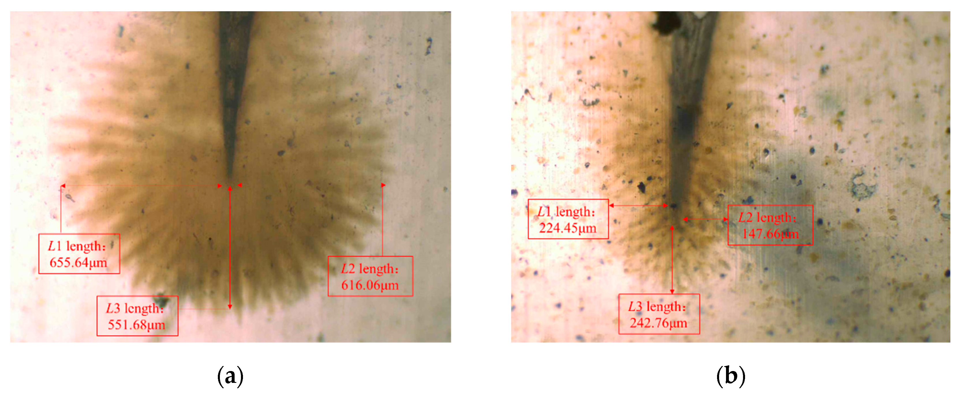Polymers 16 01445 g010