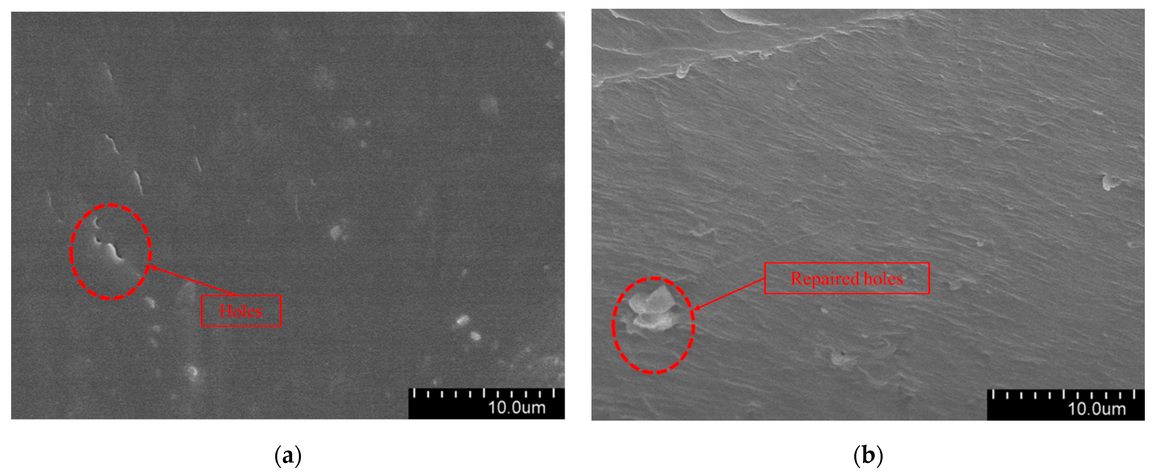 Polymers 16 01445 g011