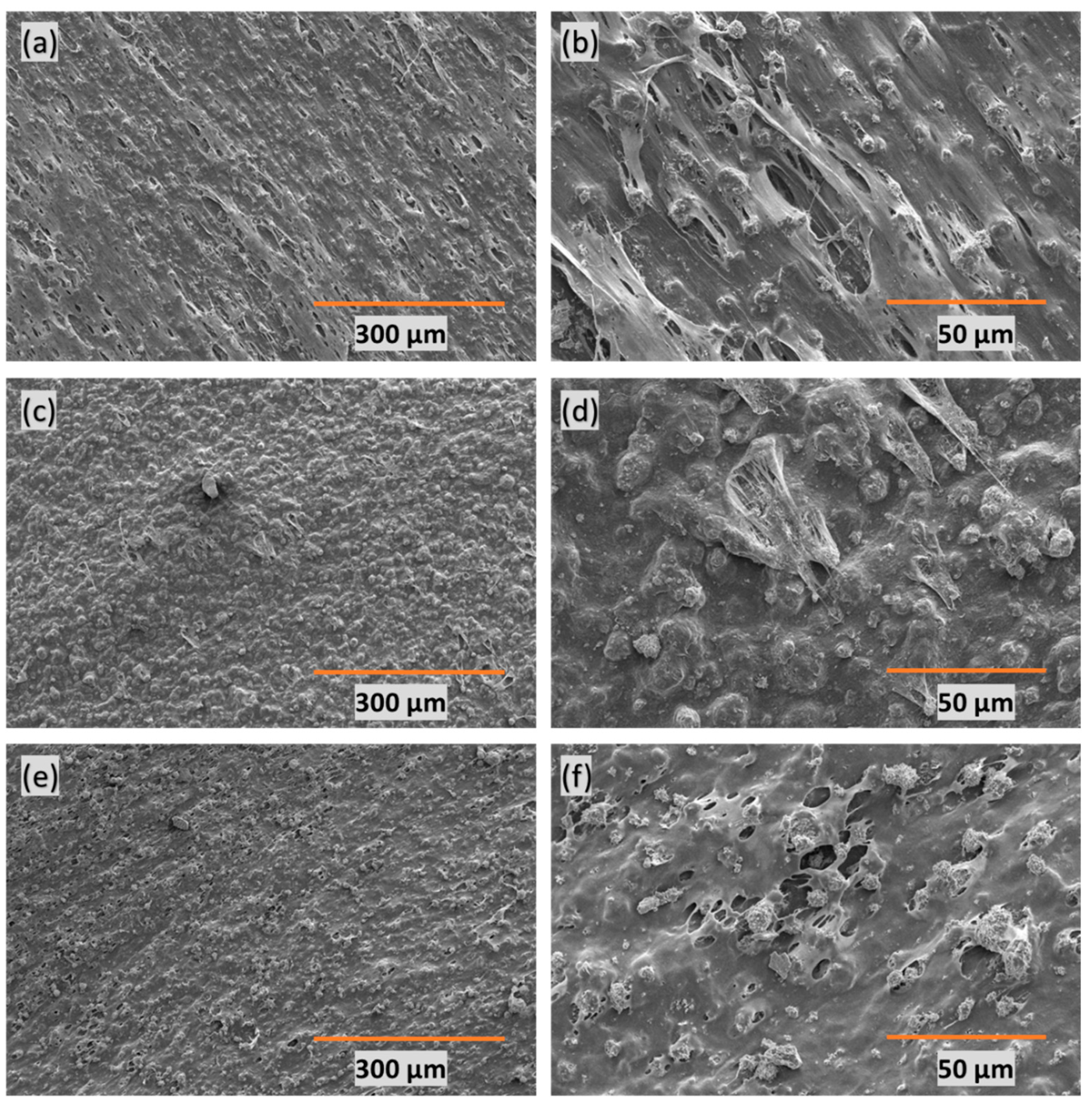 Polymers 16 01459 g001 Polymers 16 01459 g001