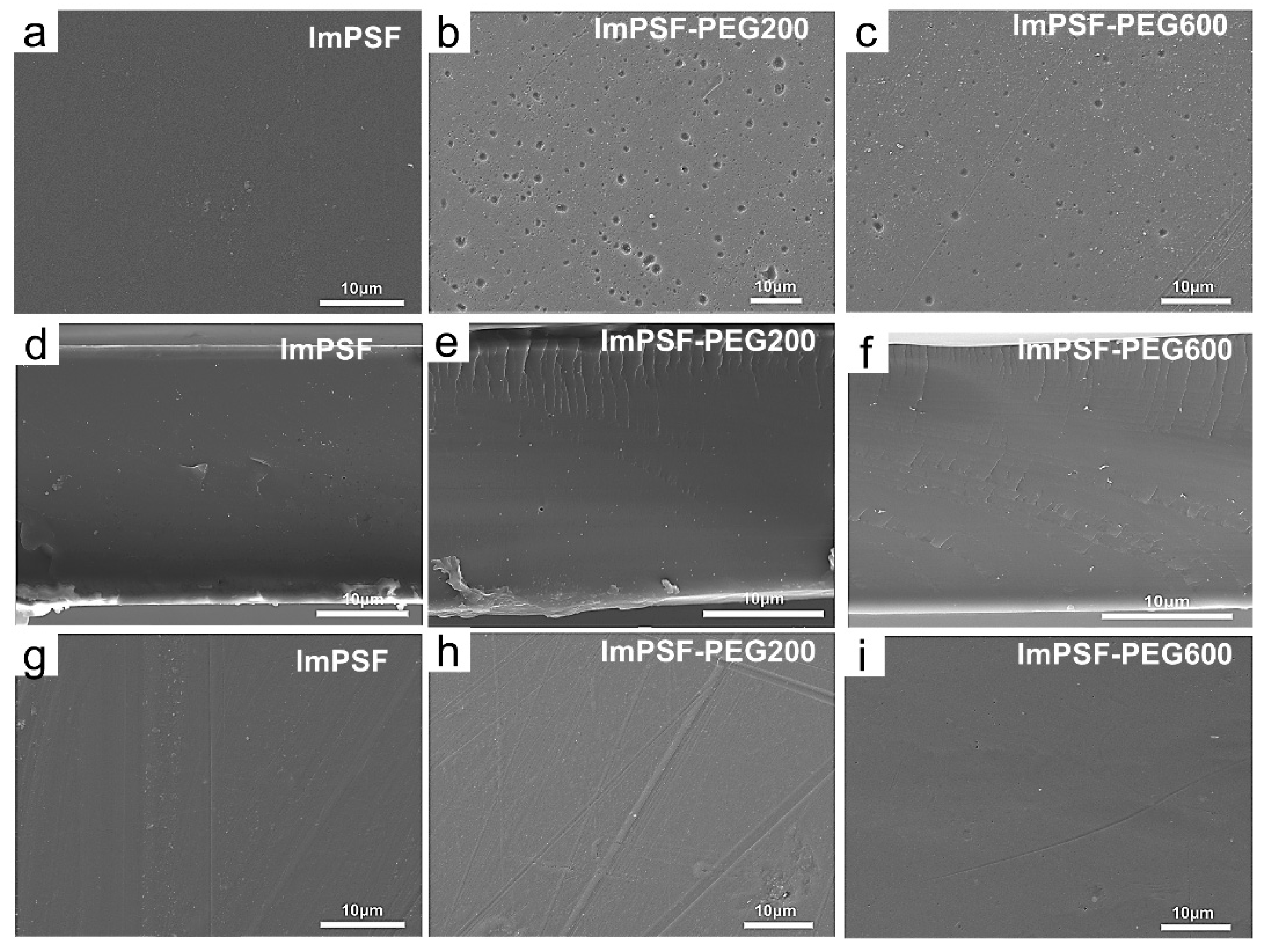 Polymers 16 01464 g001