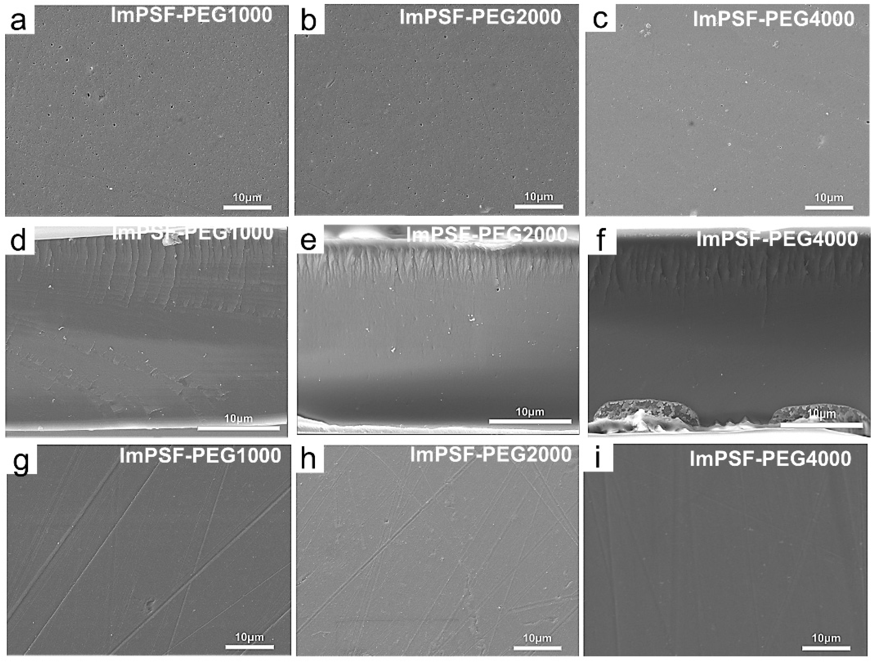 Polymers 16 01464 g002